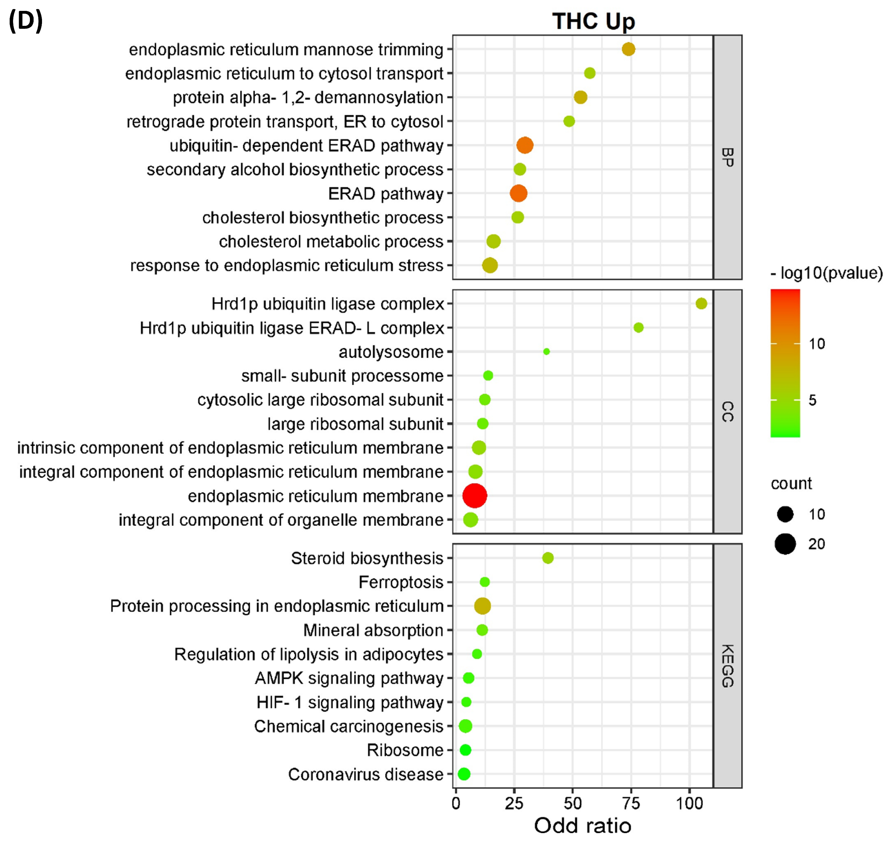 Proteomes 11 00036 g003c Proteomes 11 00036 g003c