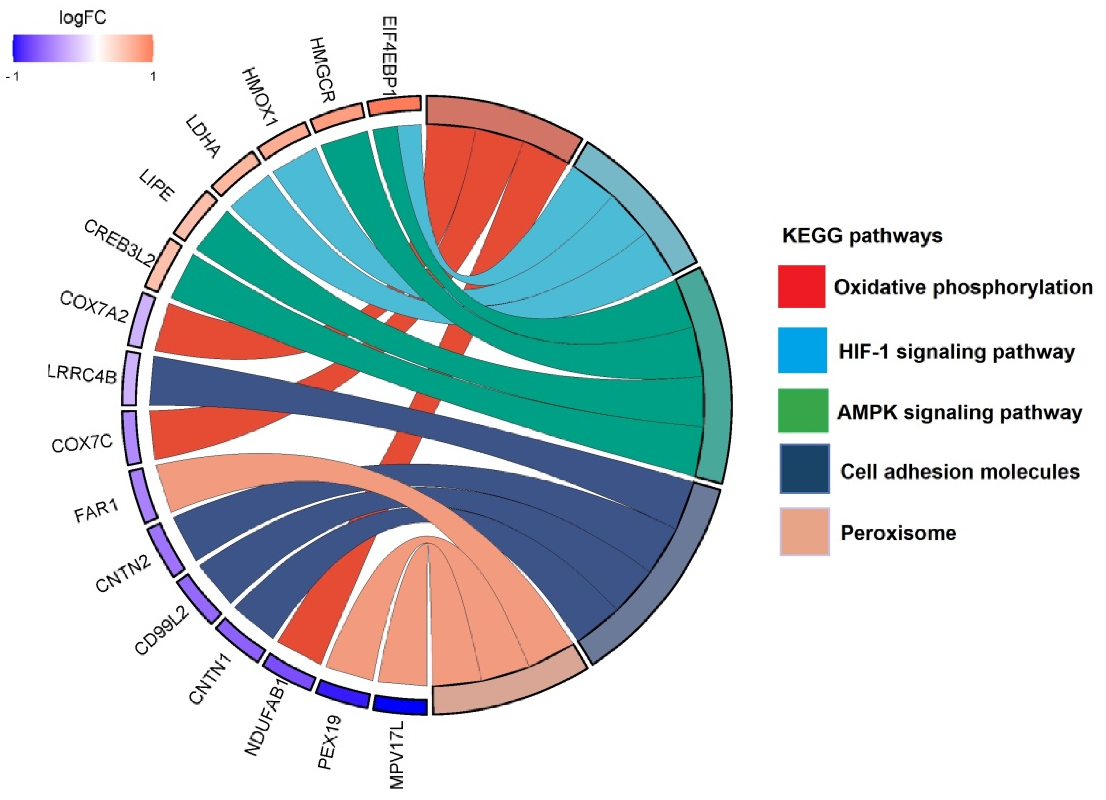 Proteomes 11 00036 g004 Proteomes 11 00036 g004