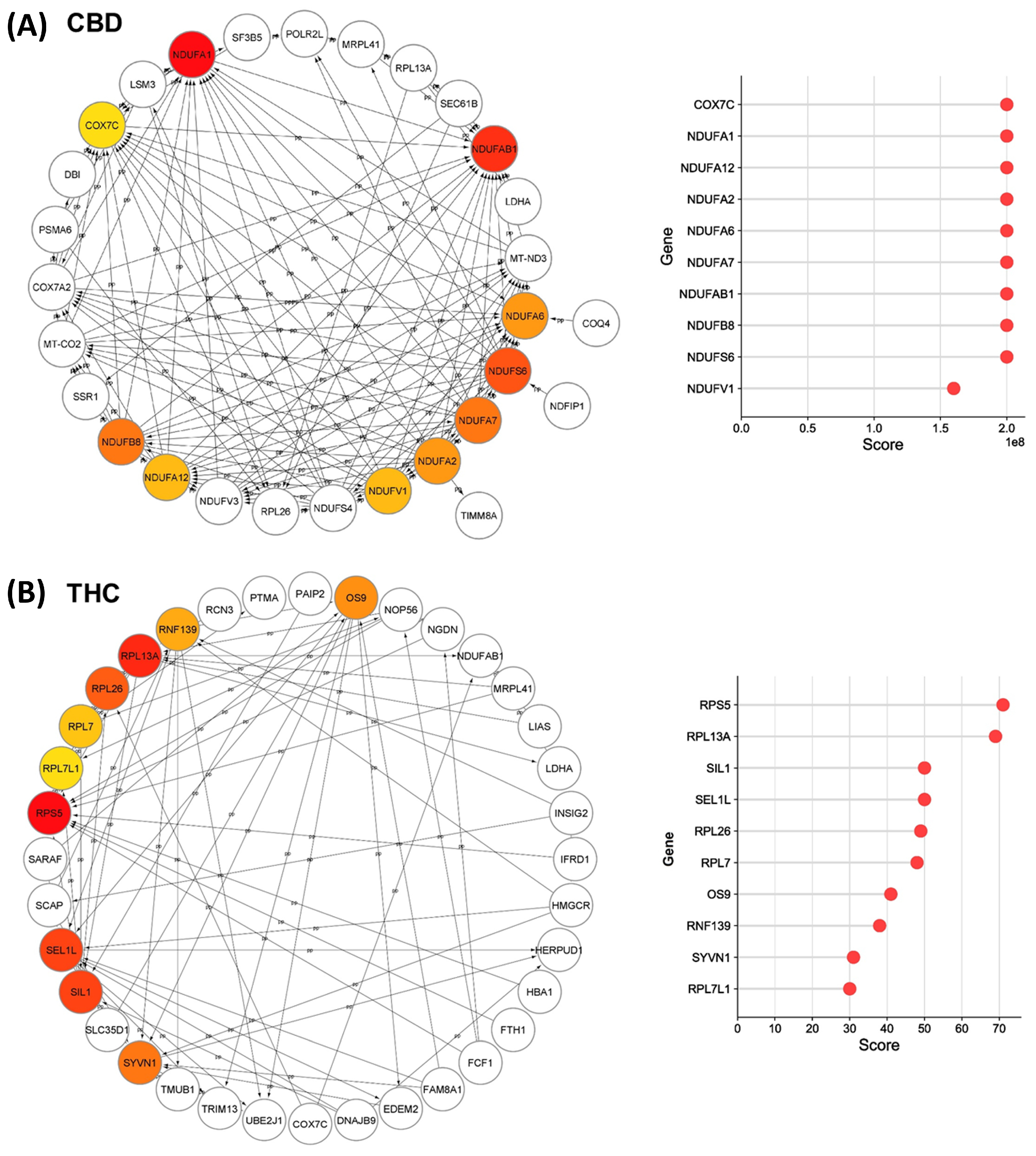 Proteomes 11 00036 g006 Proteomes 11 00036 g006