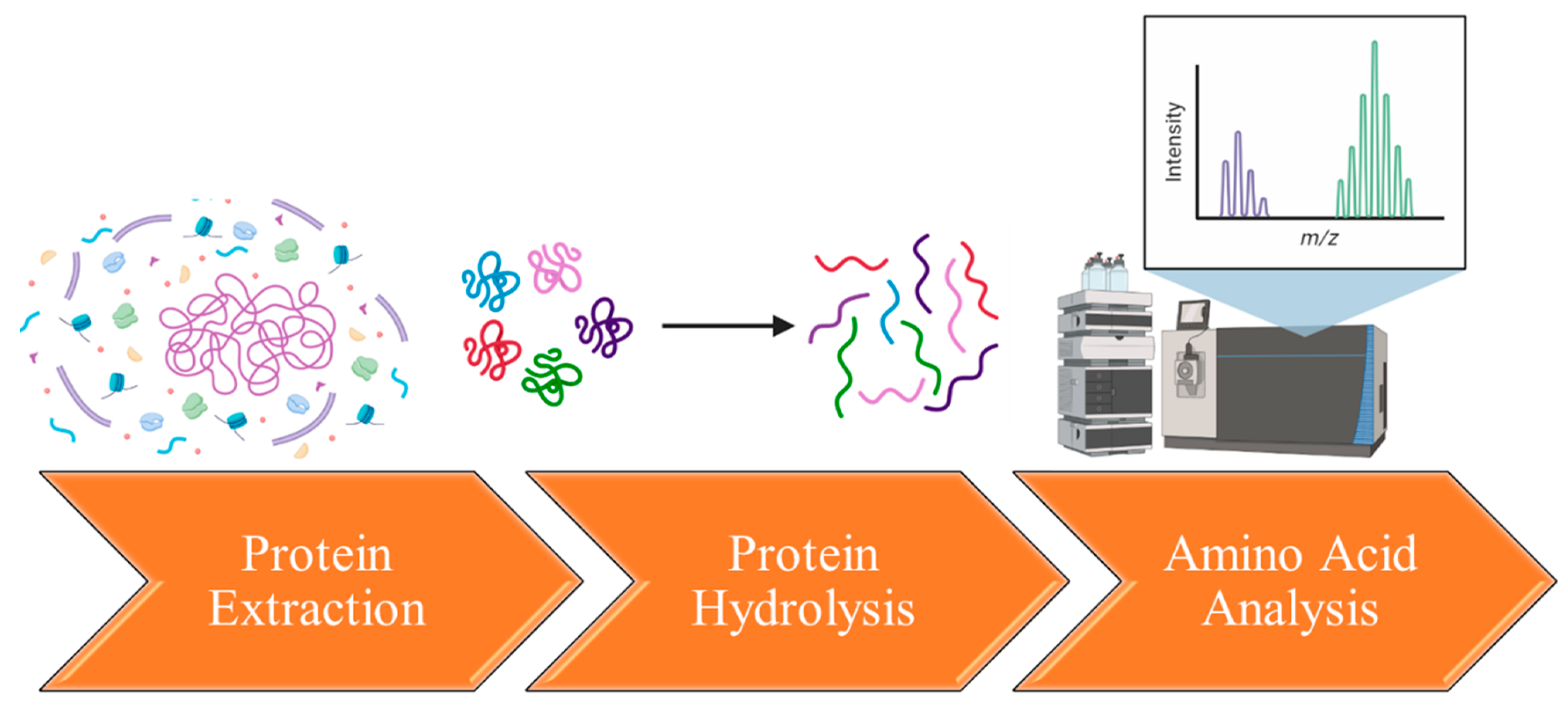 Proteomes 11 00037 g002 Proteomes 11 00037 g002