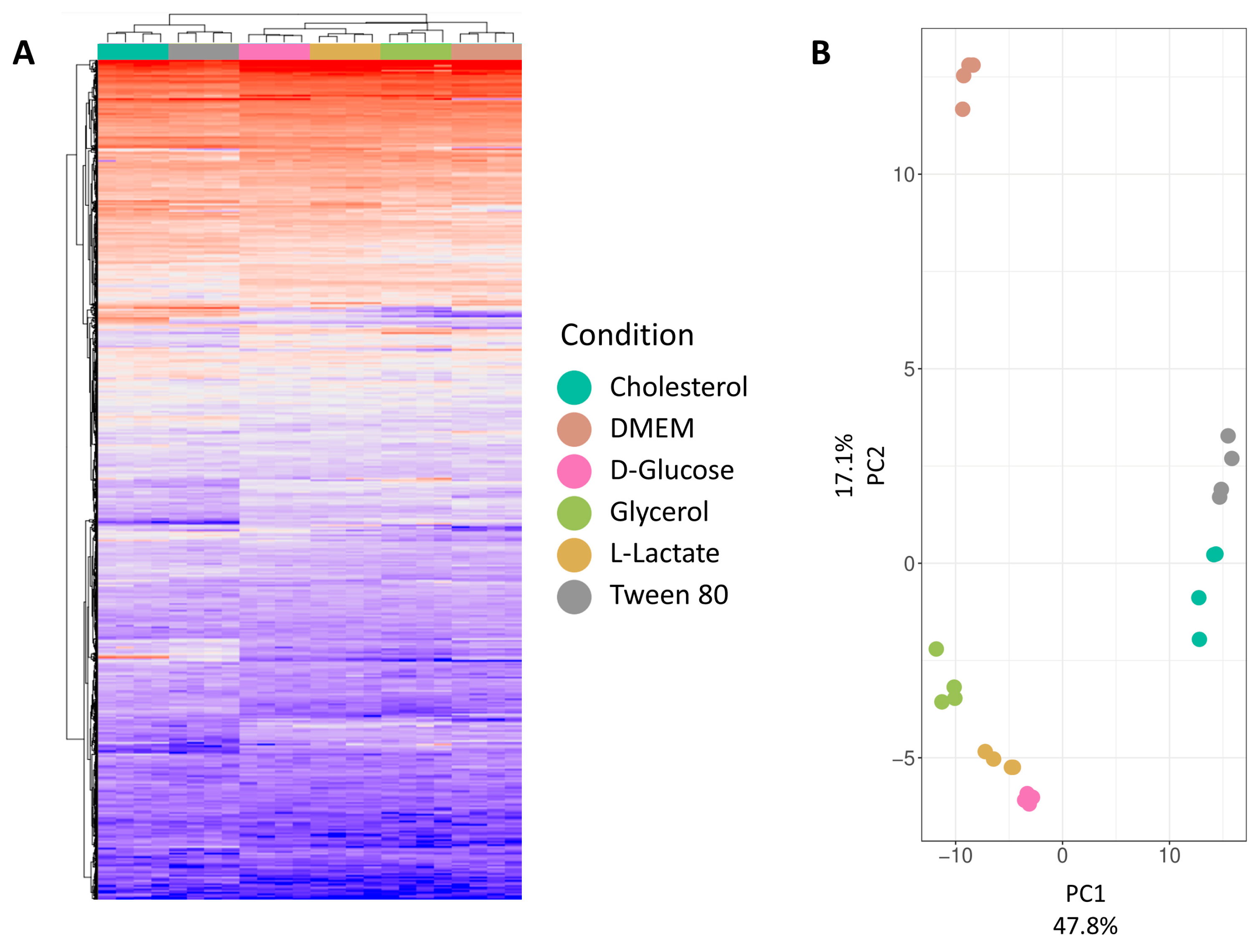 Proteomes 11 00039 g003