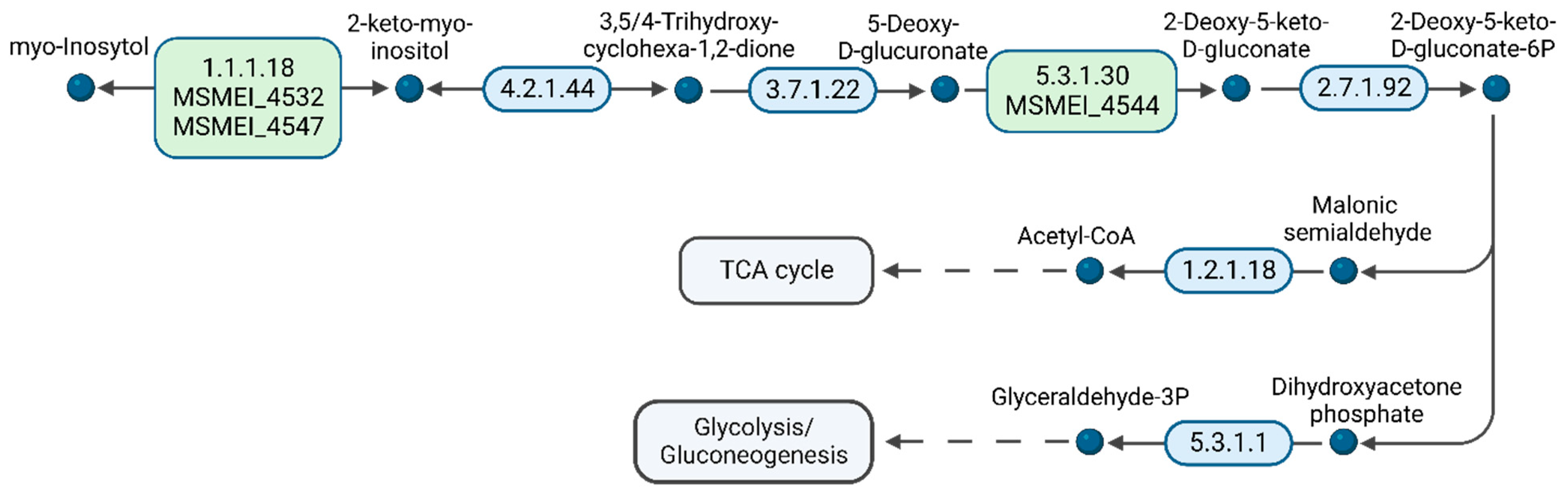 Proteomes 11 00039 g008