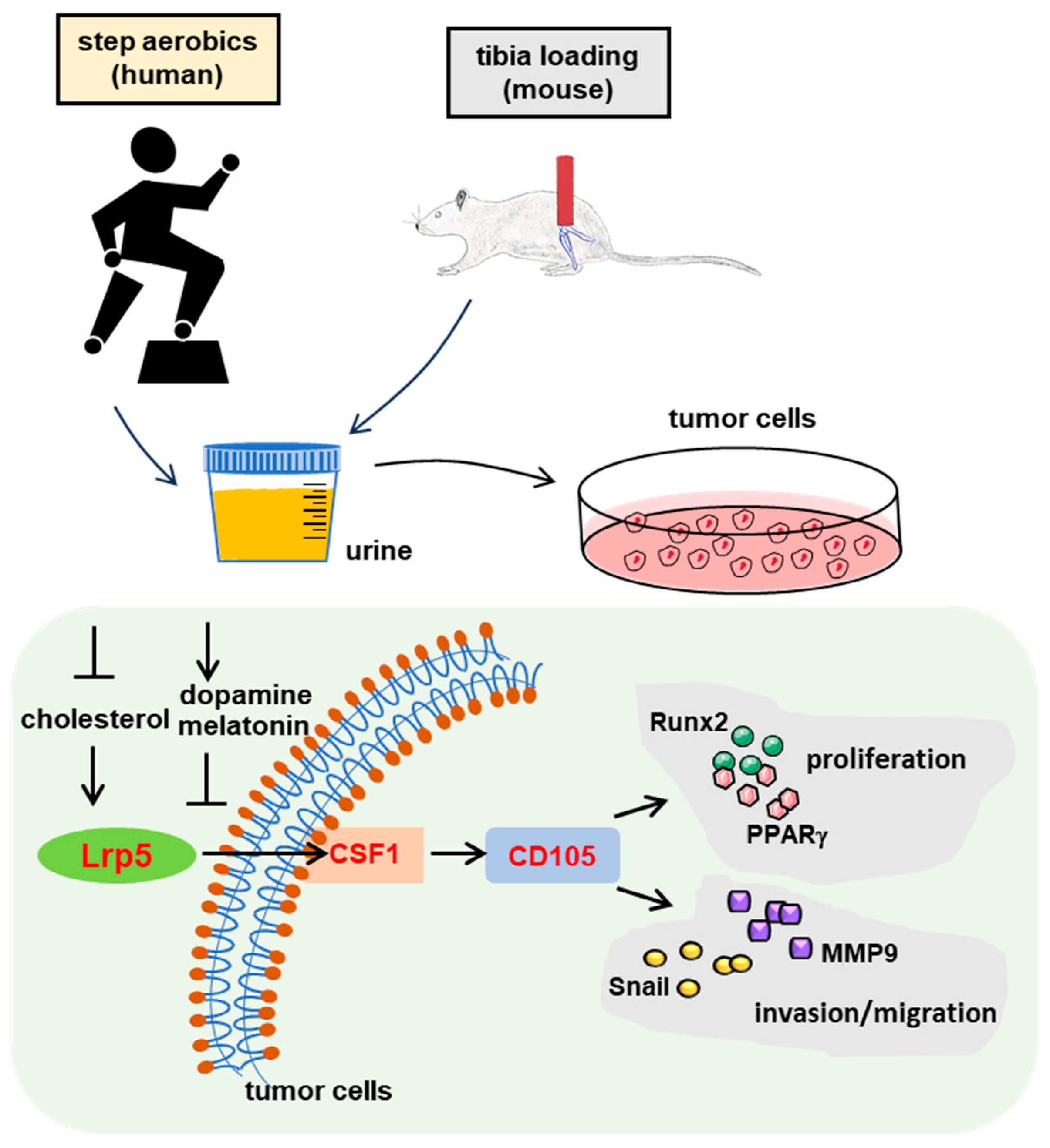Proteomes 12 00001 g001 Proteomes 12 00001 g001