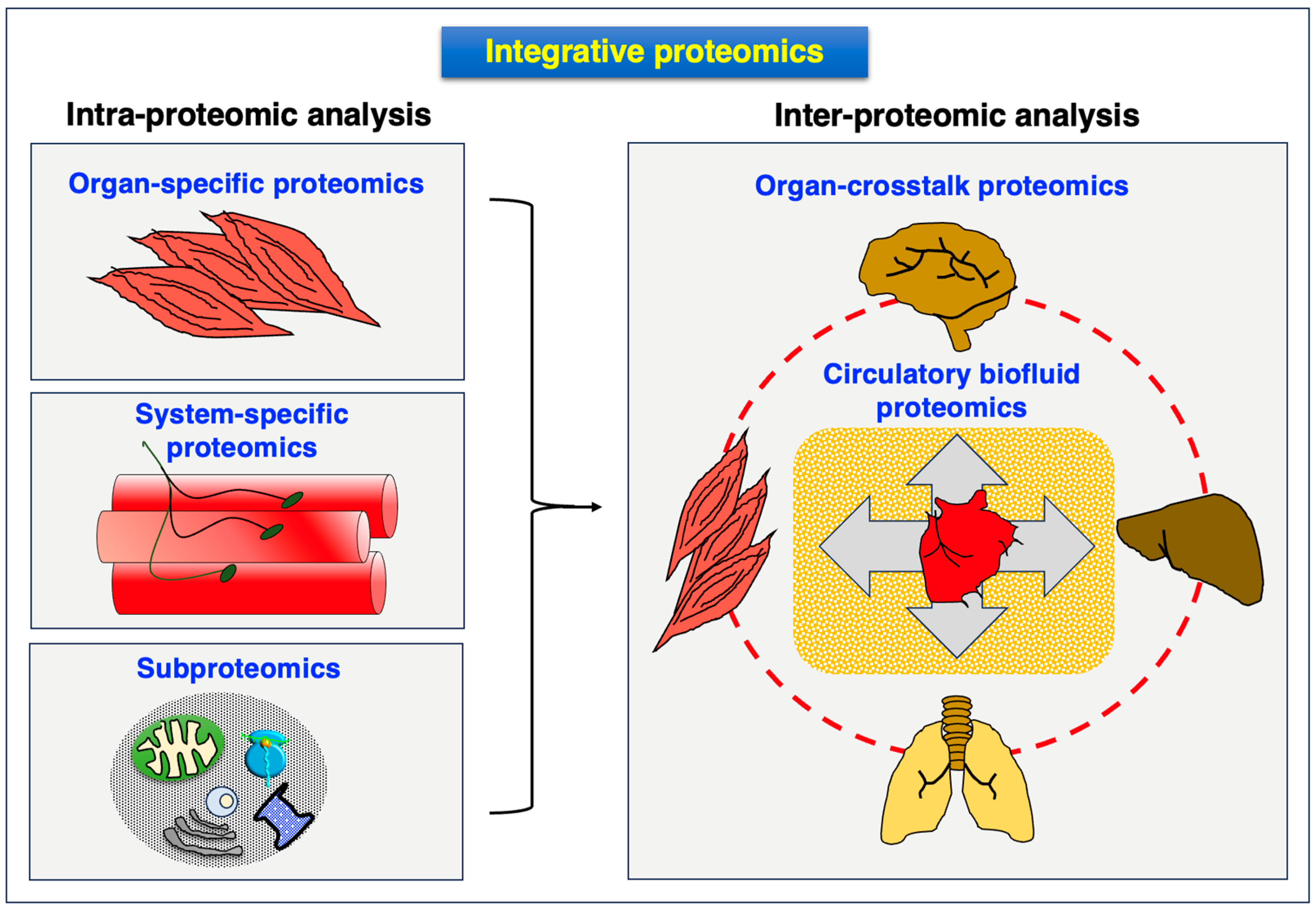 Proteomes 12 00004 g003 Proteomes 12 00004 g003