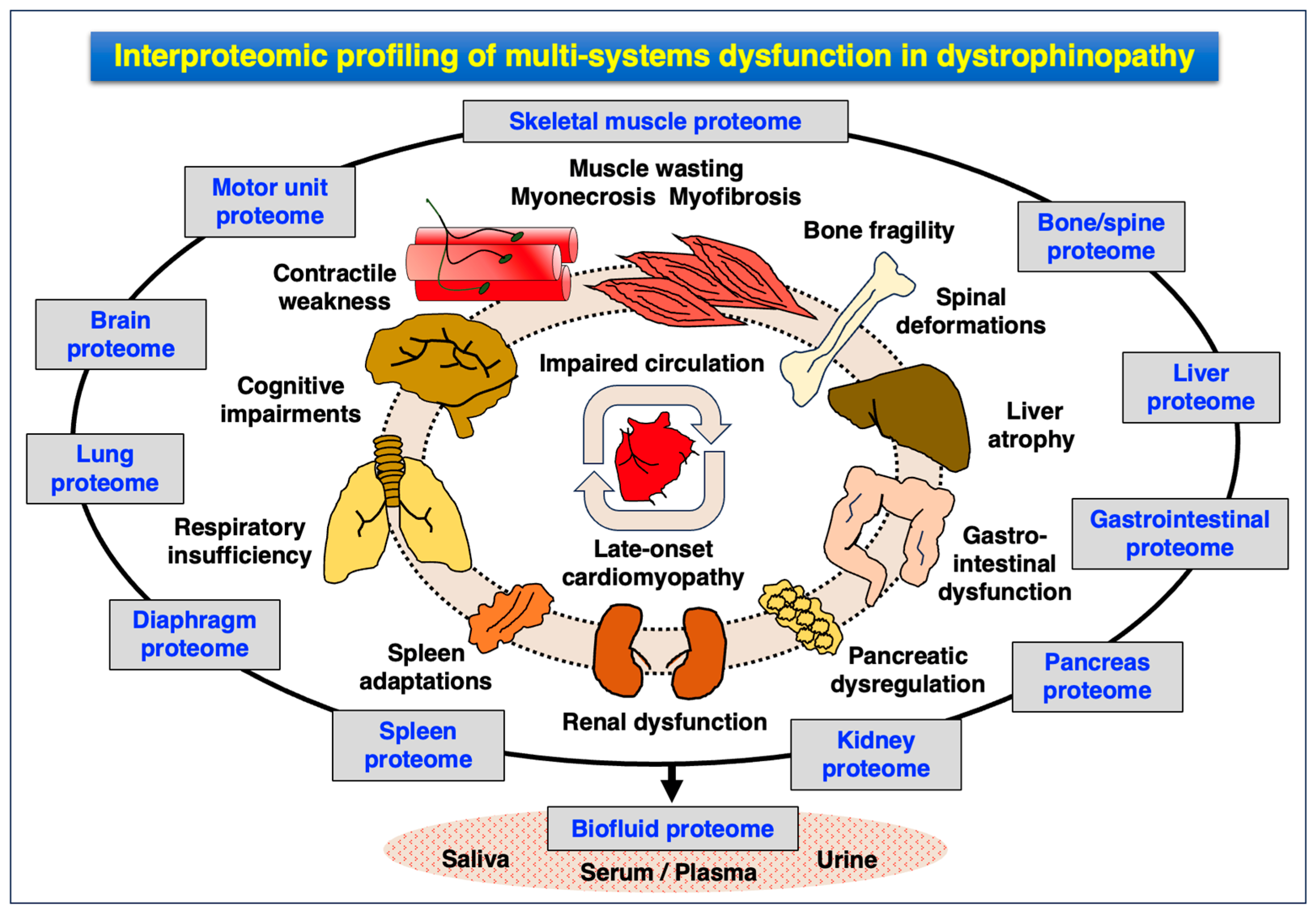 Proteomes 12 00004 g004 Proteomes 12 00004 g004