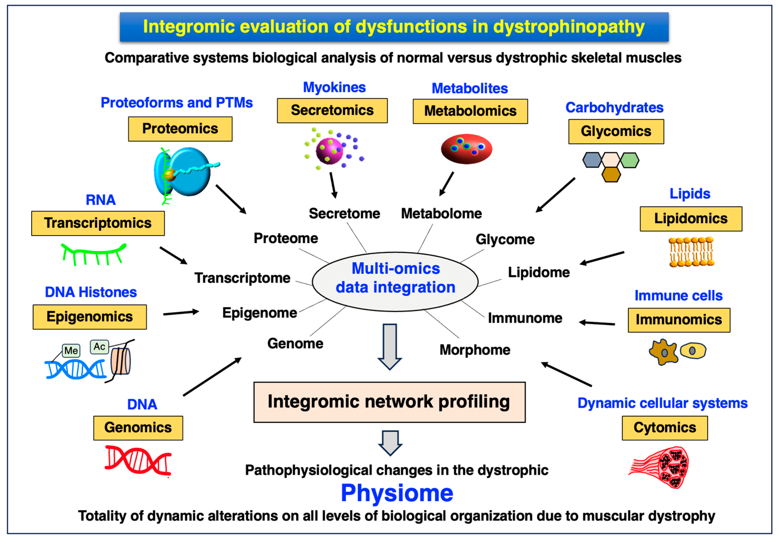 Proteomes 12 00004 g006 Proteomes 12 00004 g006