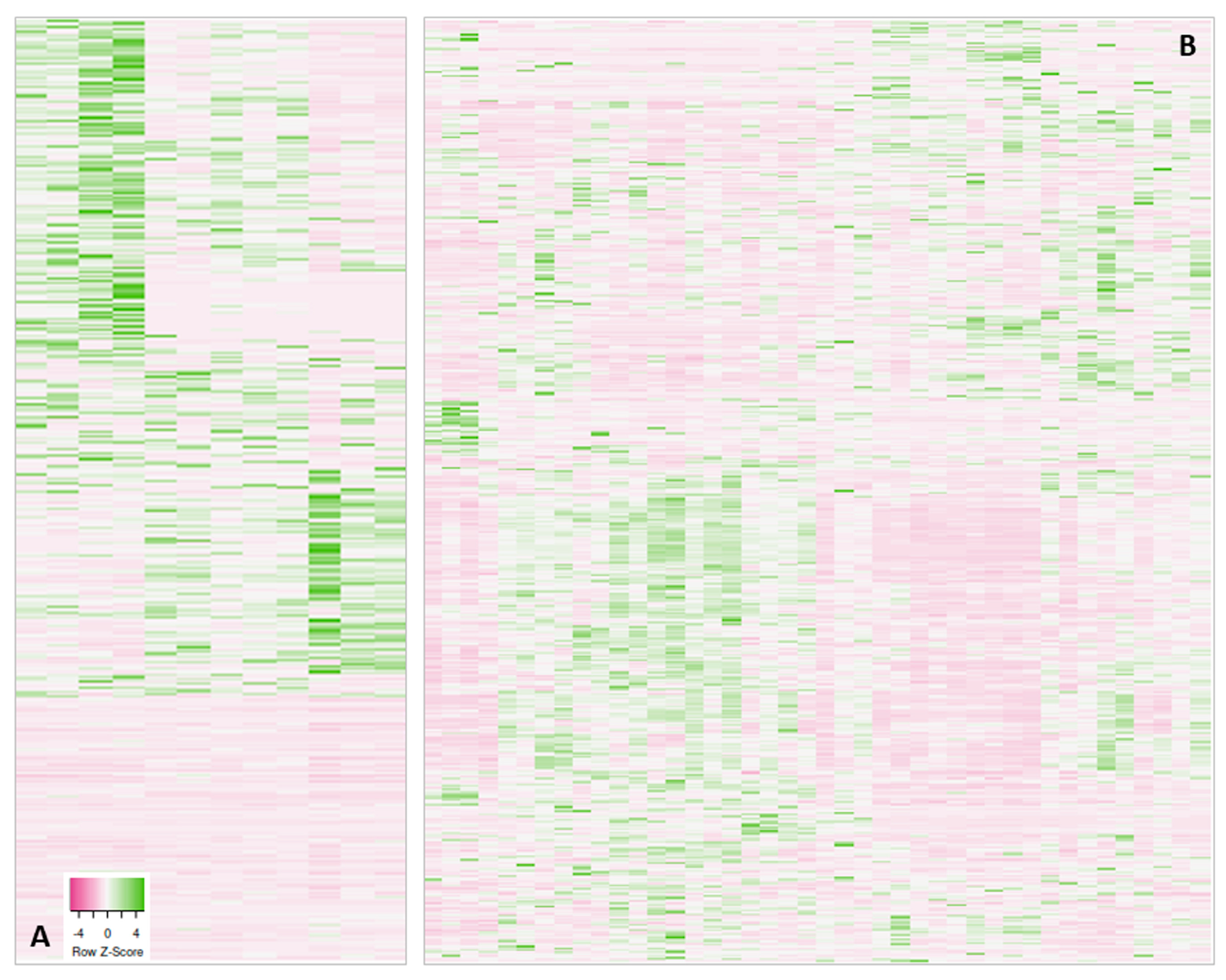 Proteomes 12 00006 g001