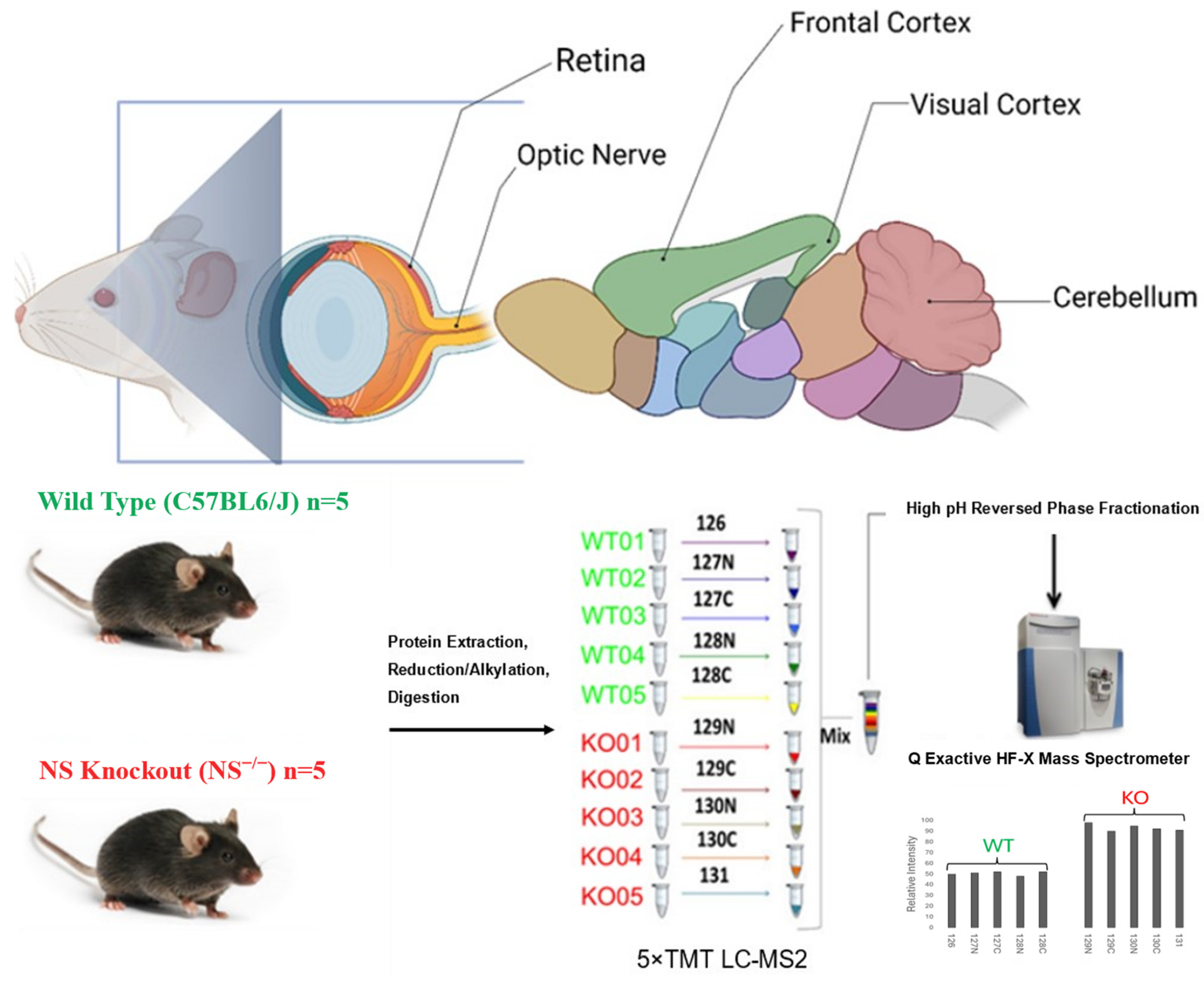 Proteomes 12 00007 g001 Proteomes 12 00007 g001