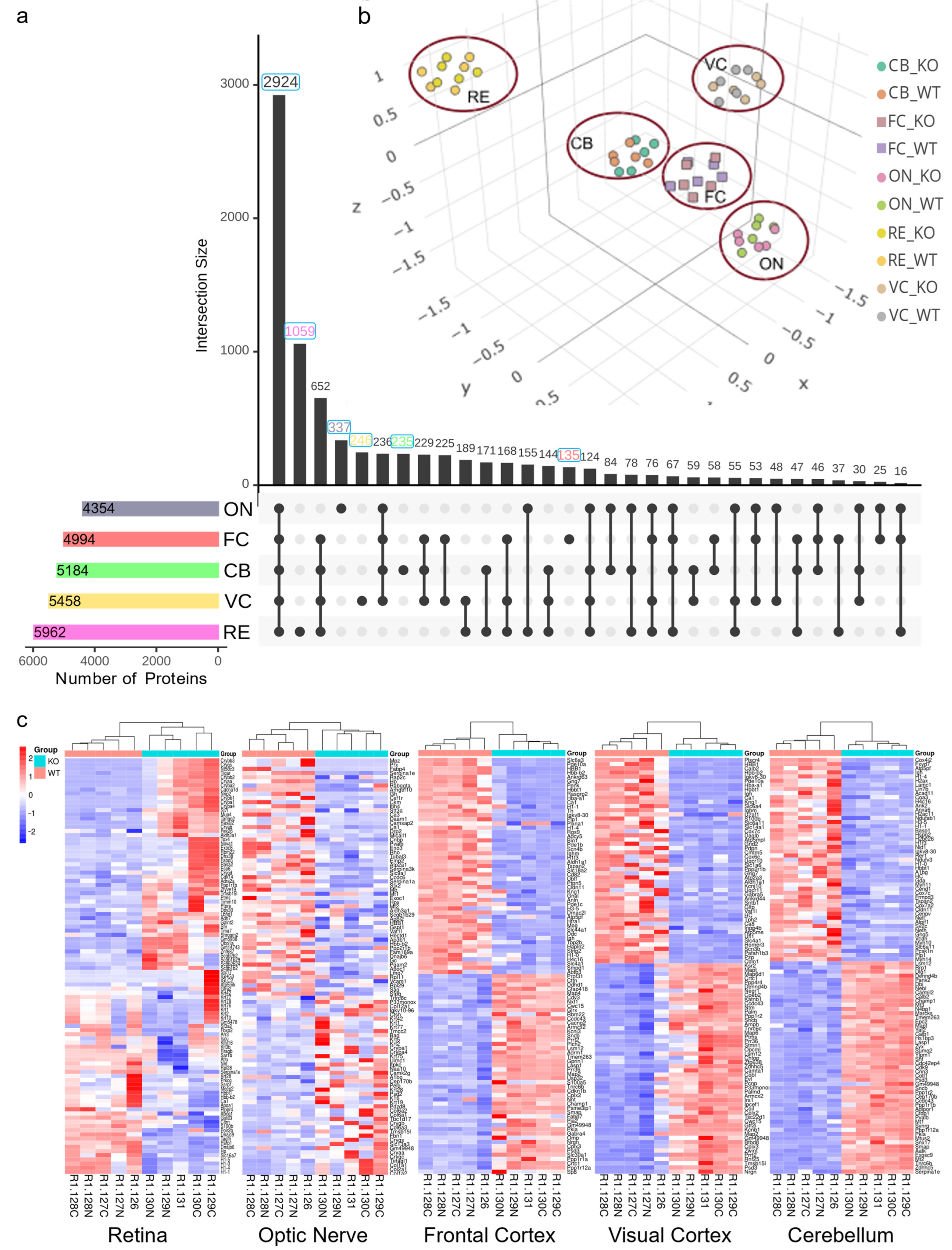 Proteomes 12 00007 g002 Proteomes 12 00007 g002