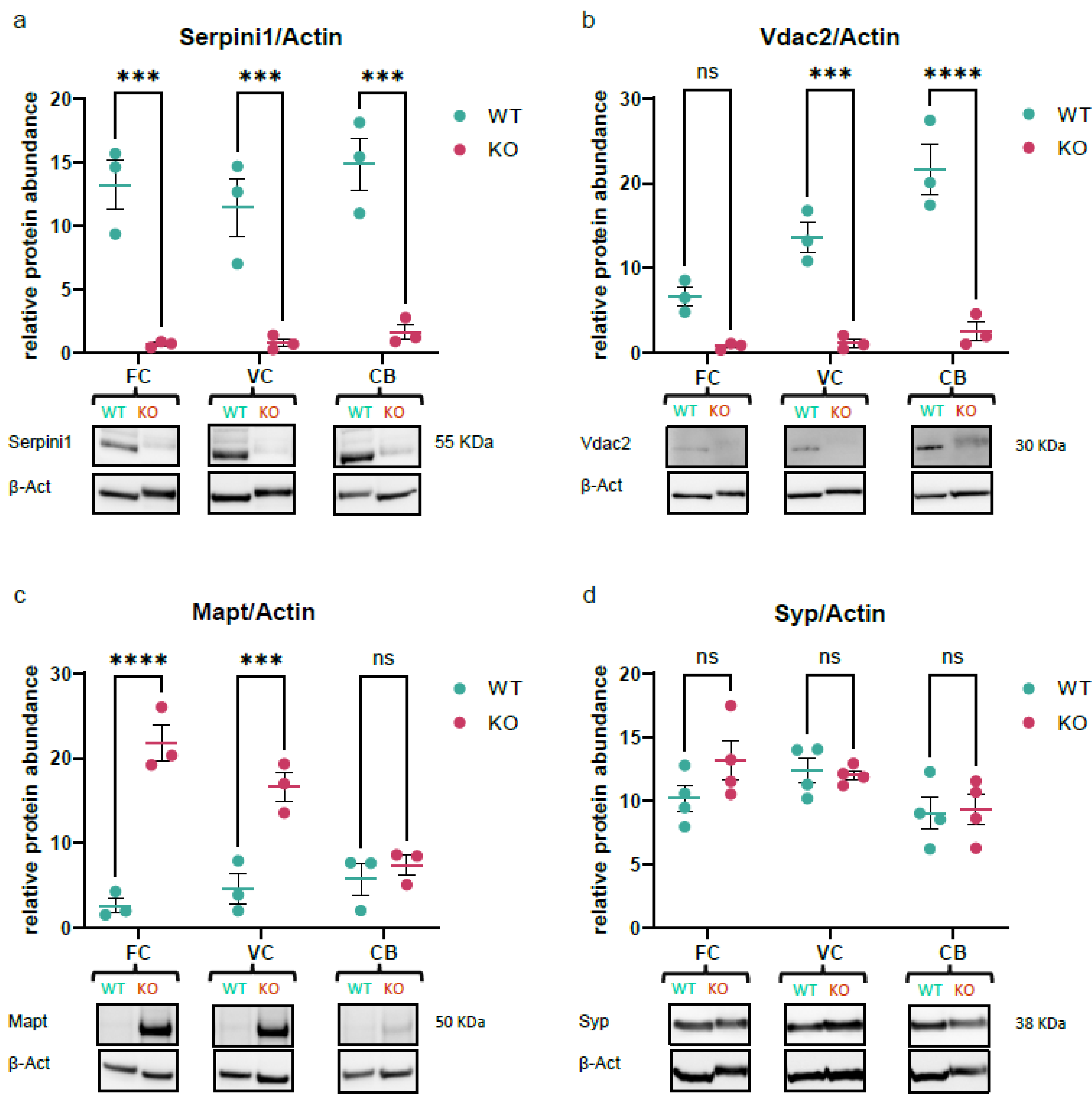 Proteomes 12 00007 g006 Proteomes 12 00007 g006