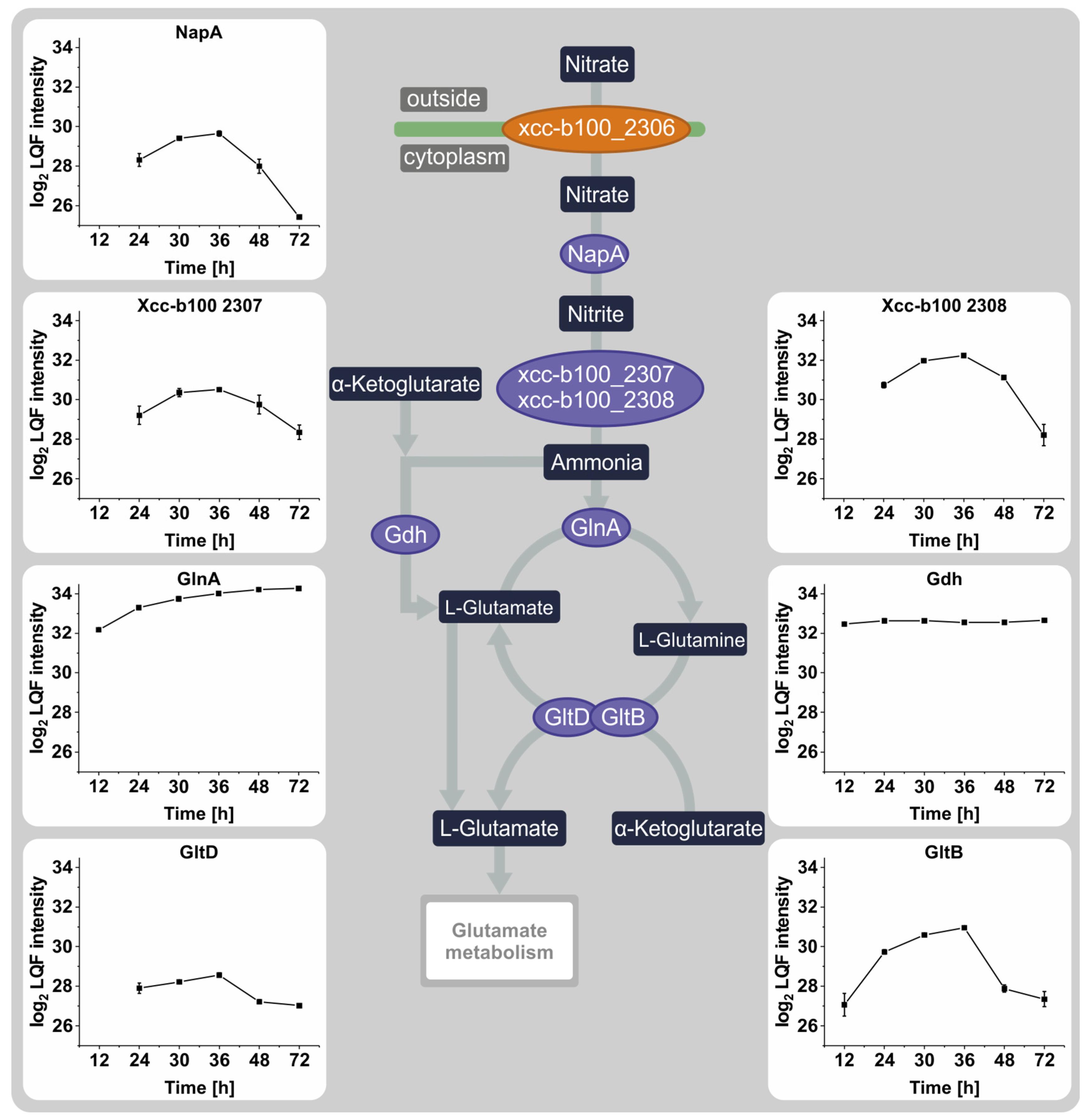 Proteomes 12 00012 g003