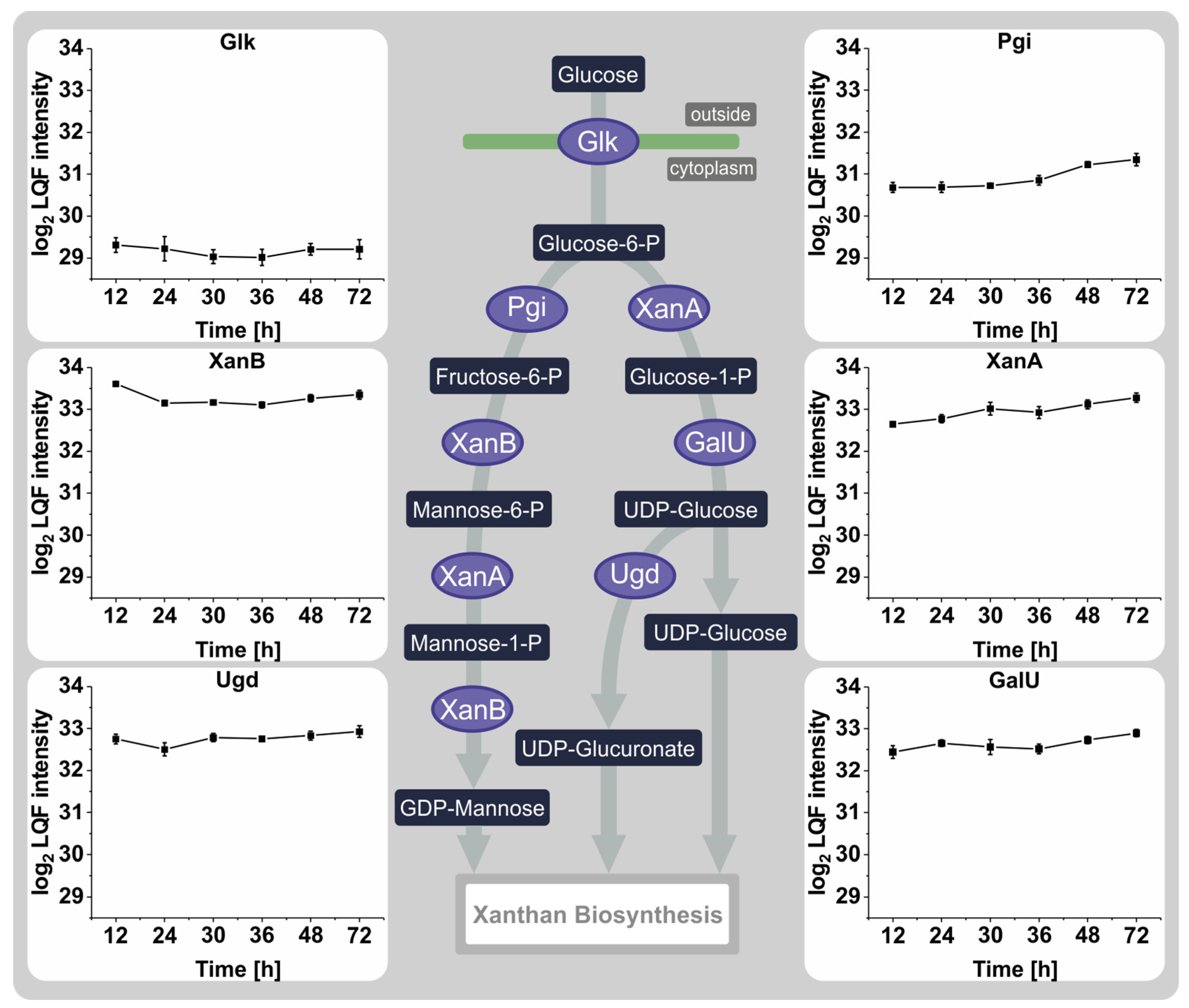 Proteomes 12 00012 g004