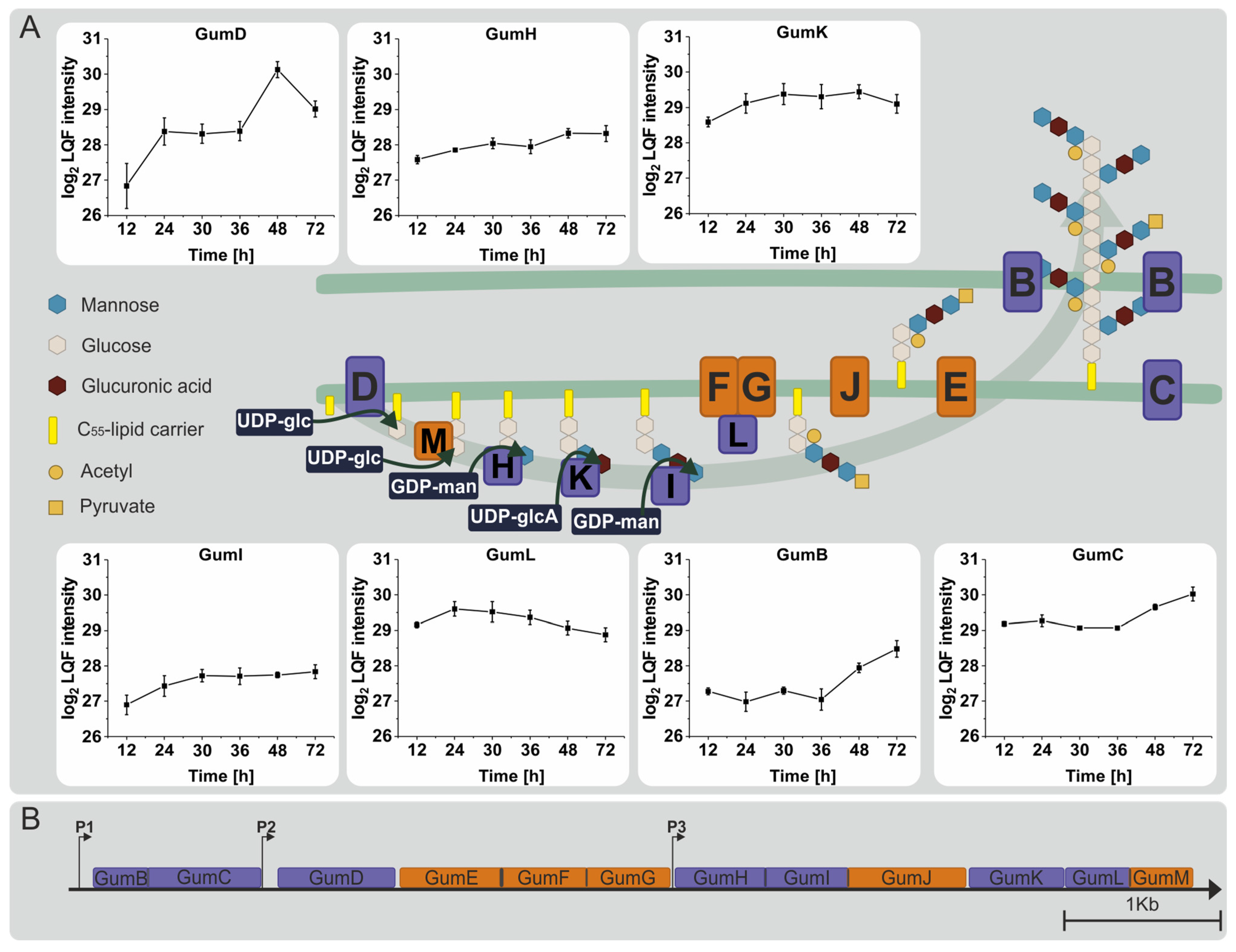 Proteomes 12 00012 g005