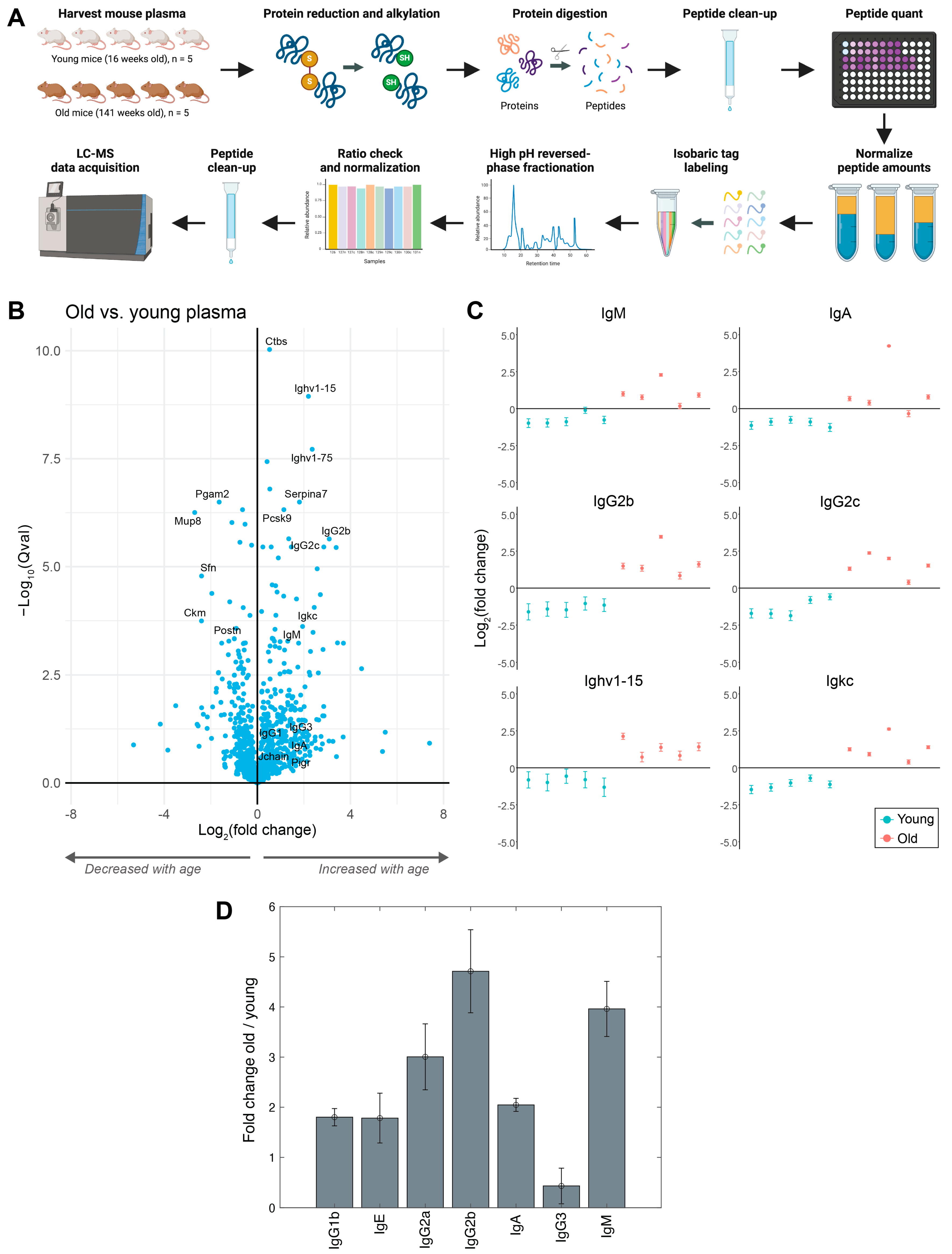 Proteomes 12 00016 g001