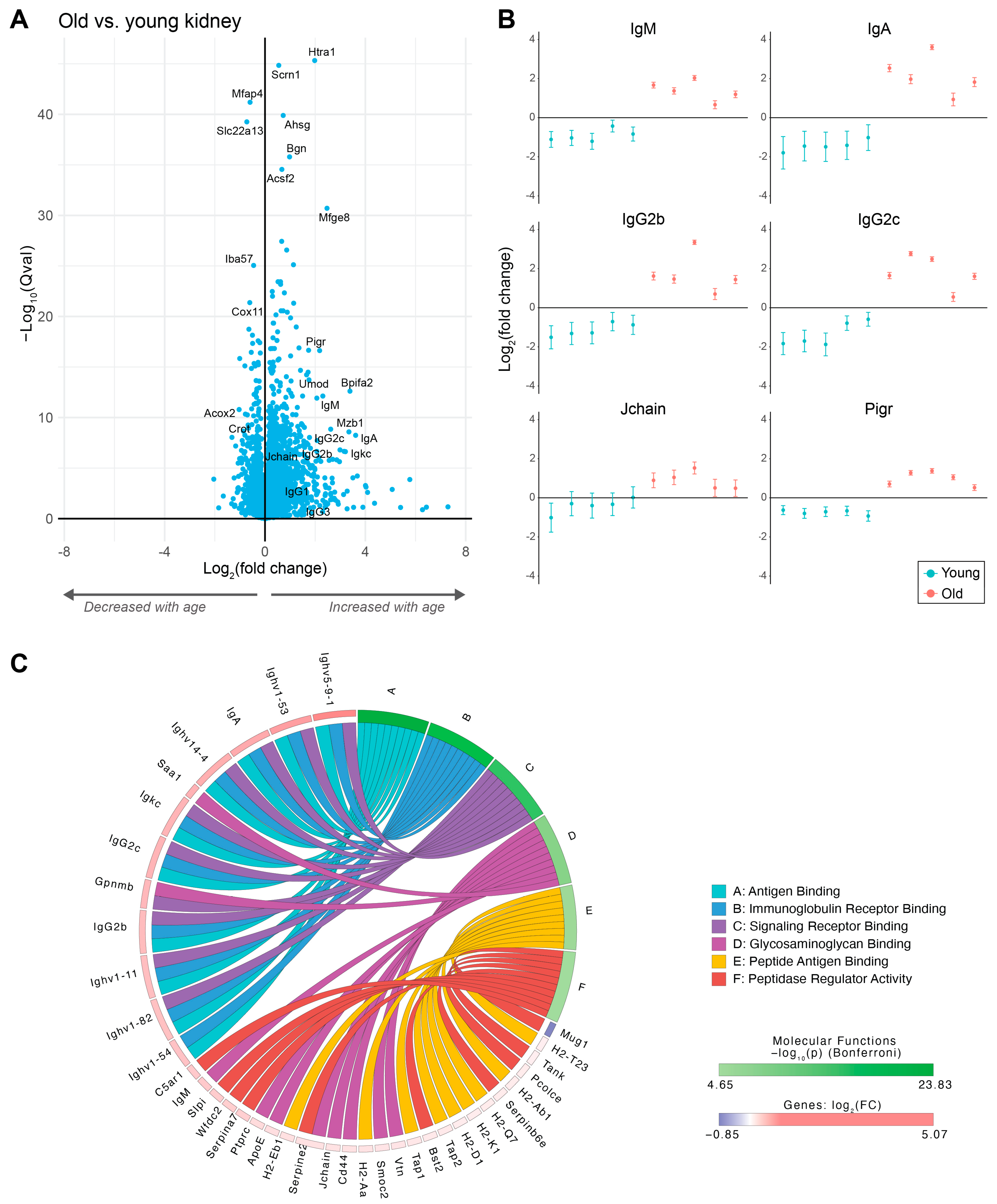 Proteomes 12 00016 g002
