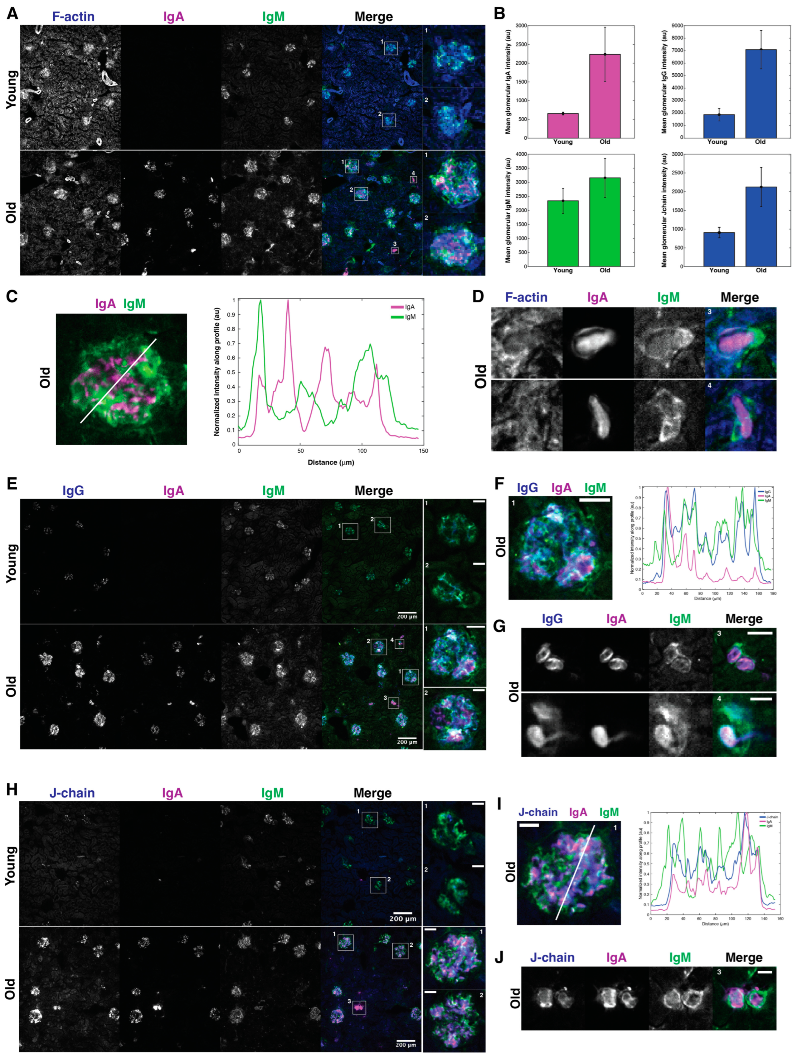 Proteomes 12 00016 g003