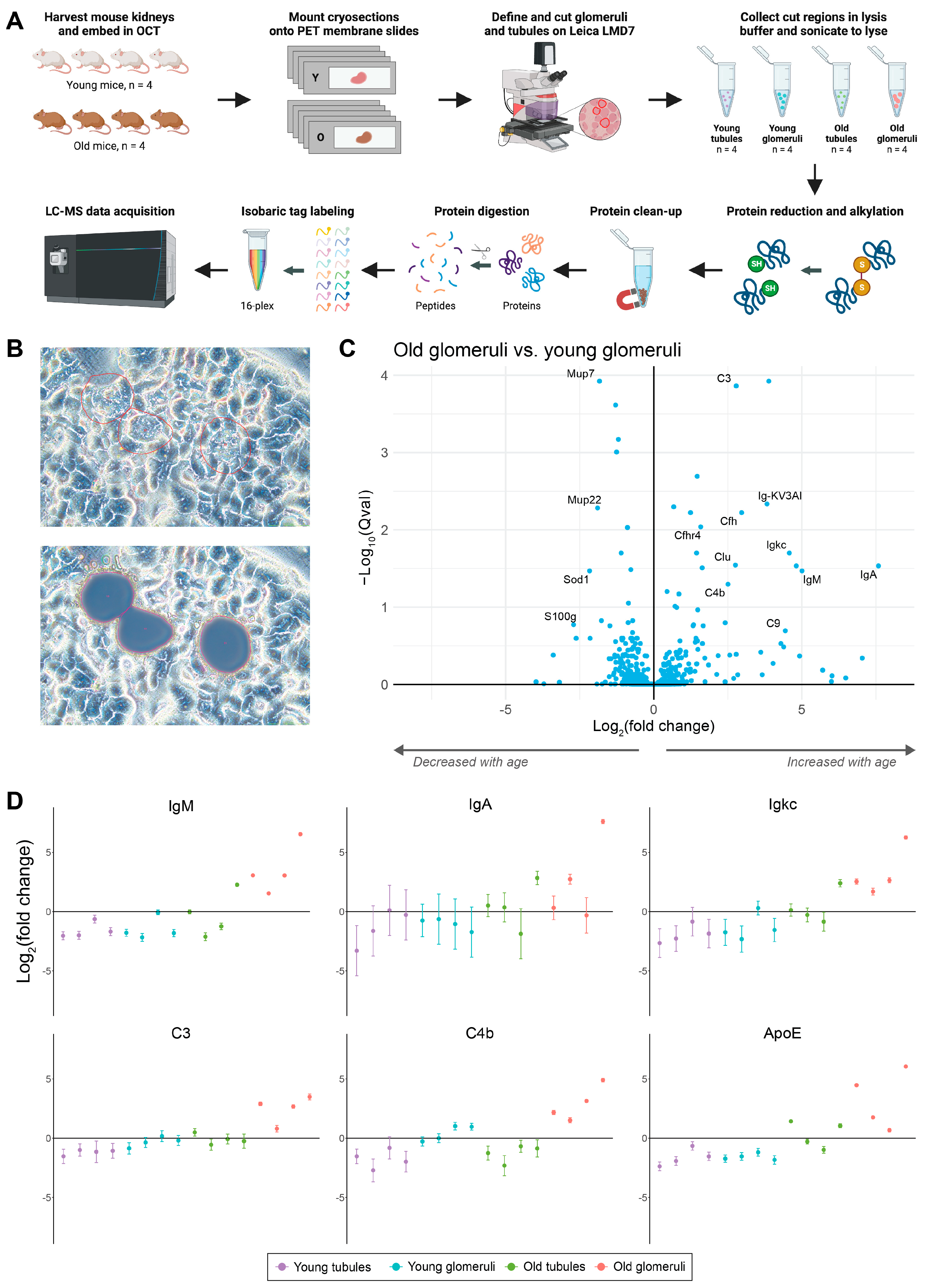 Proteomes 12 00016 g004