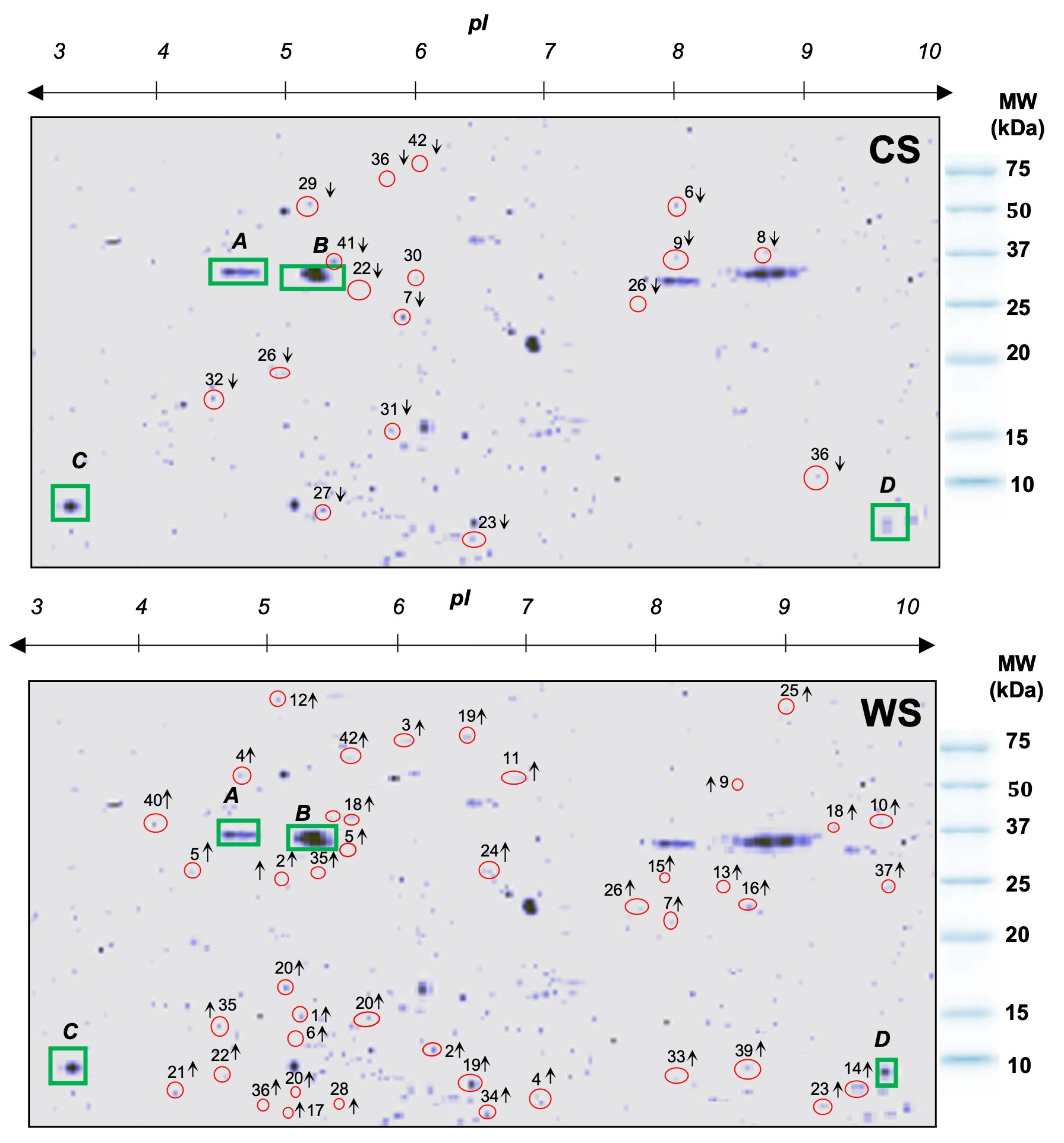 Proteomes 12 00020 g003