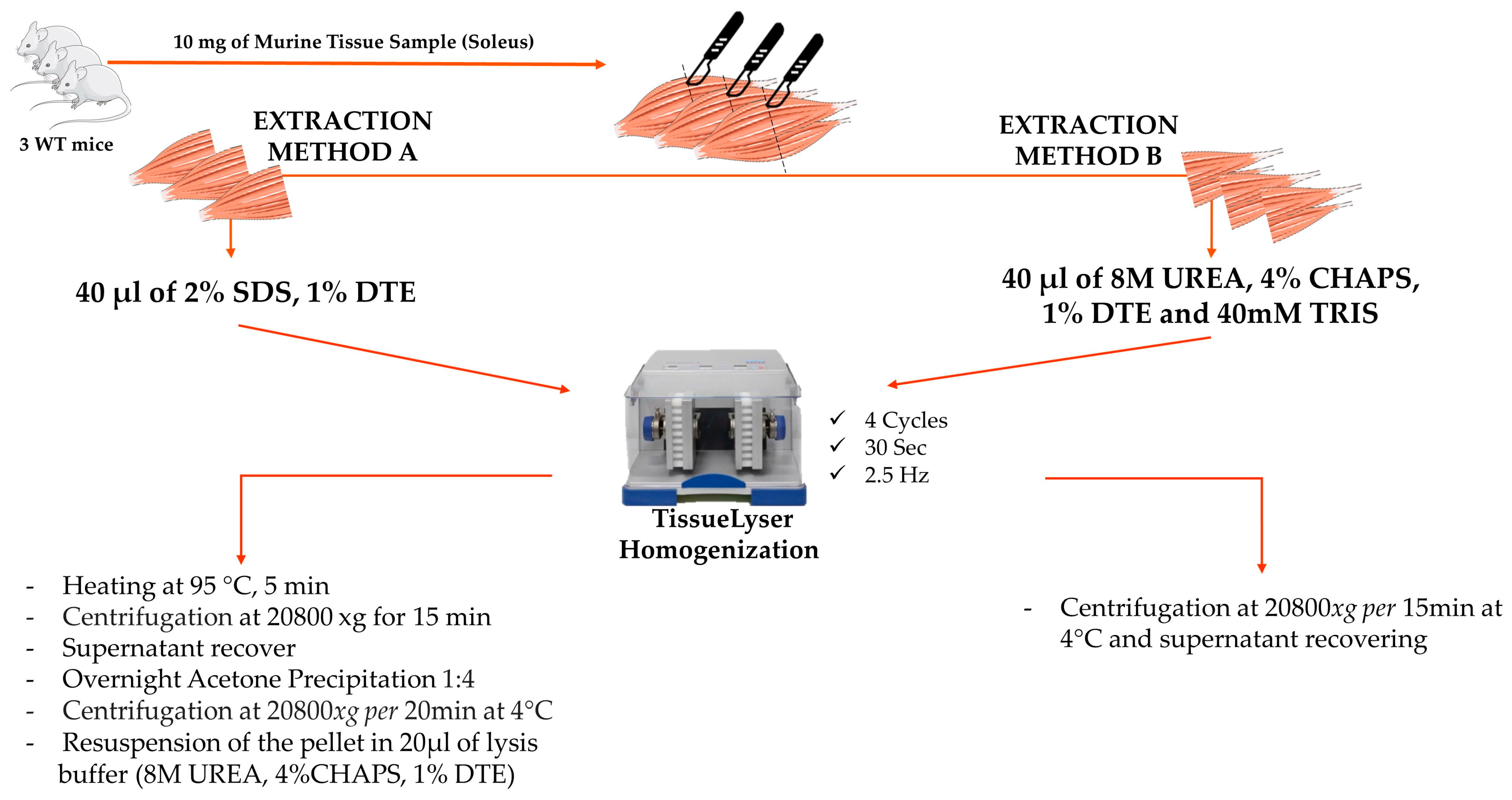 Proteomes 12 00027 g001 Proteomes 12 00027 g001
