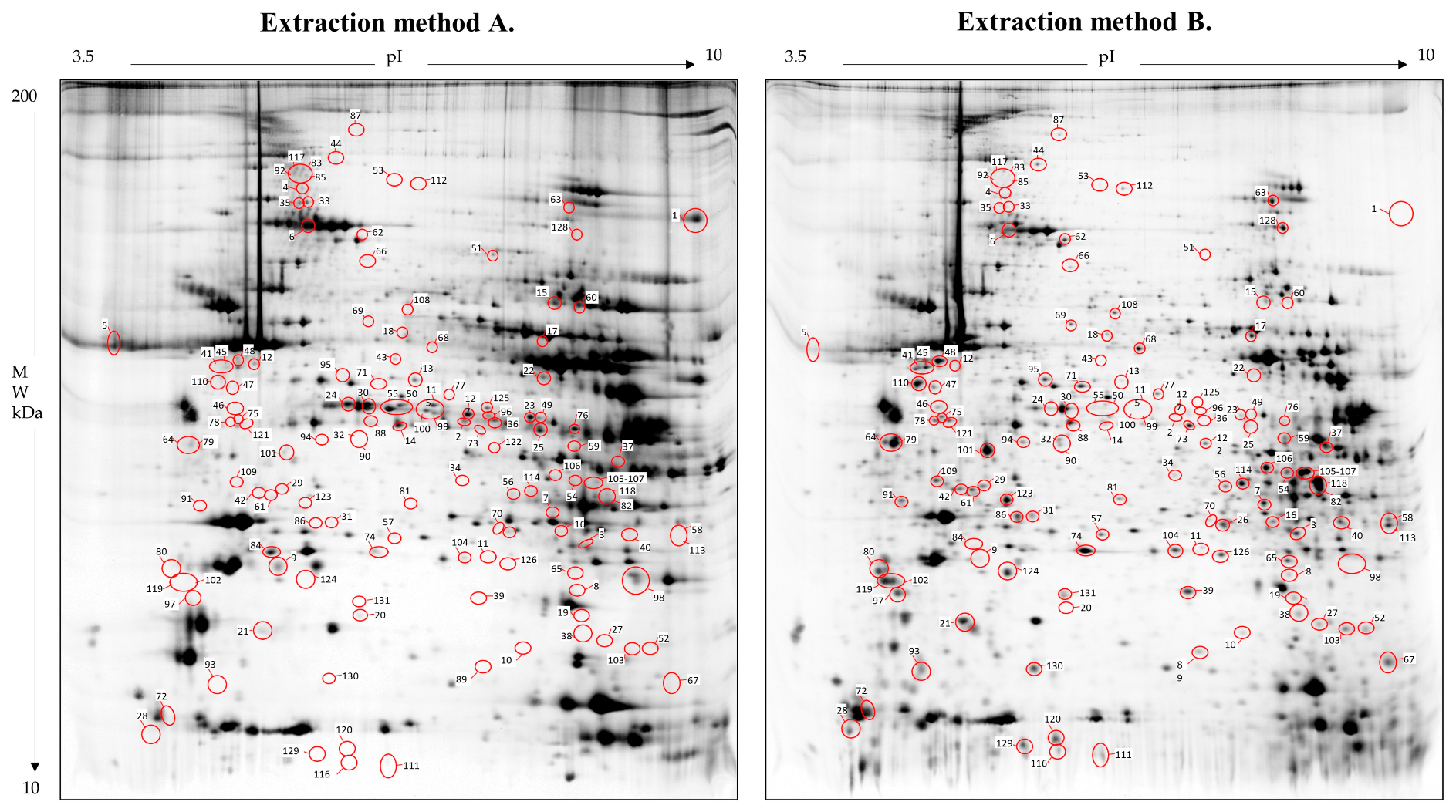 Proteomes 12 00027 g003 Proteomes 12 00027 g003