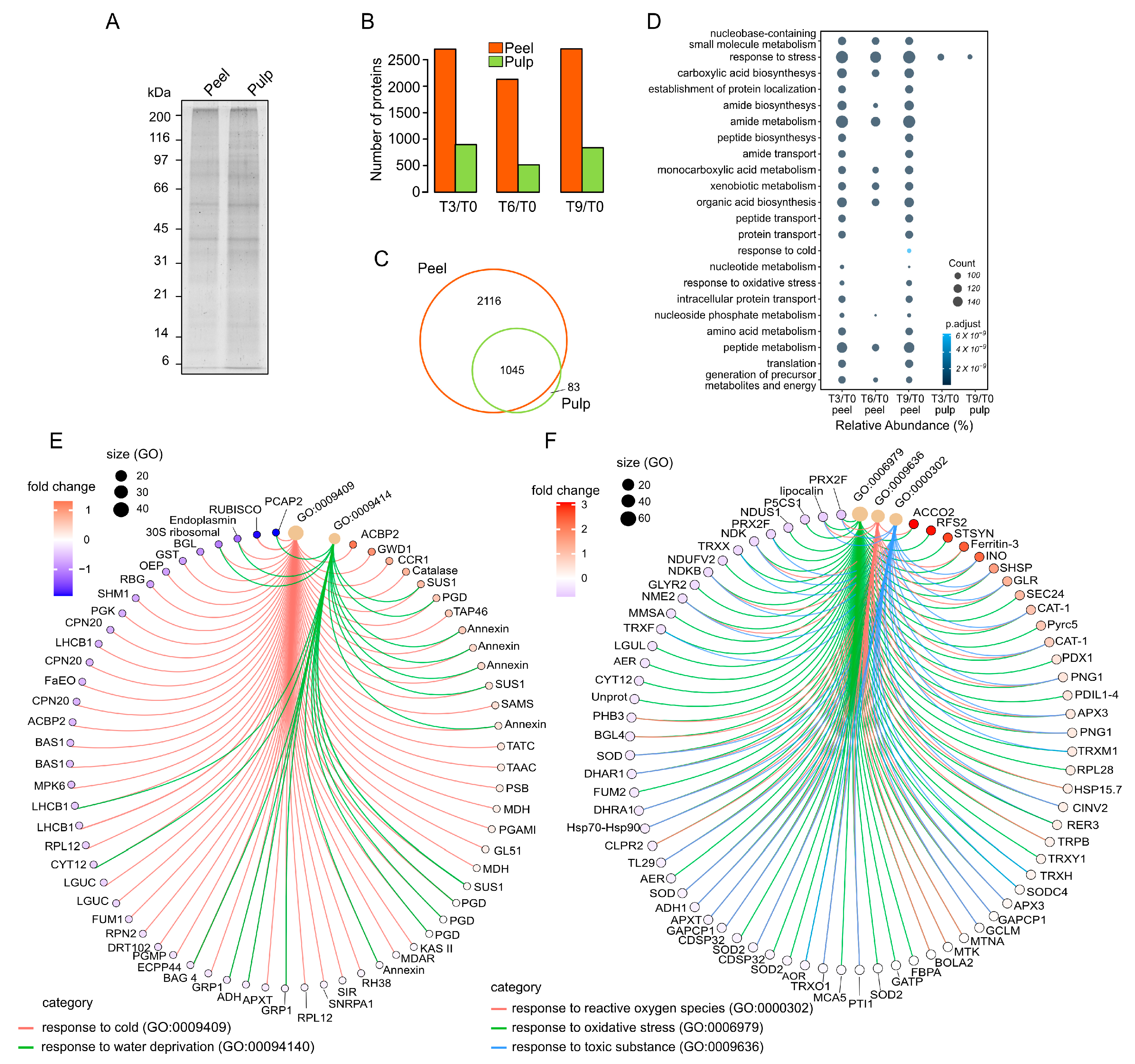 Proteomes 12 00028 g002