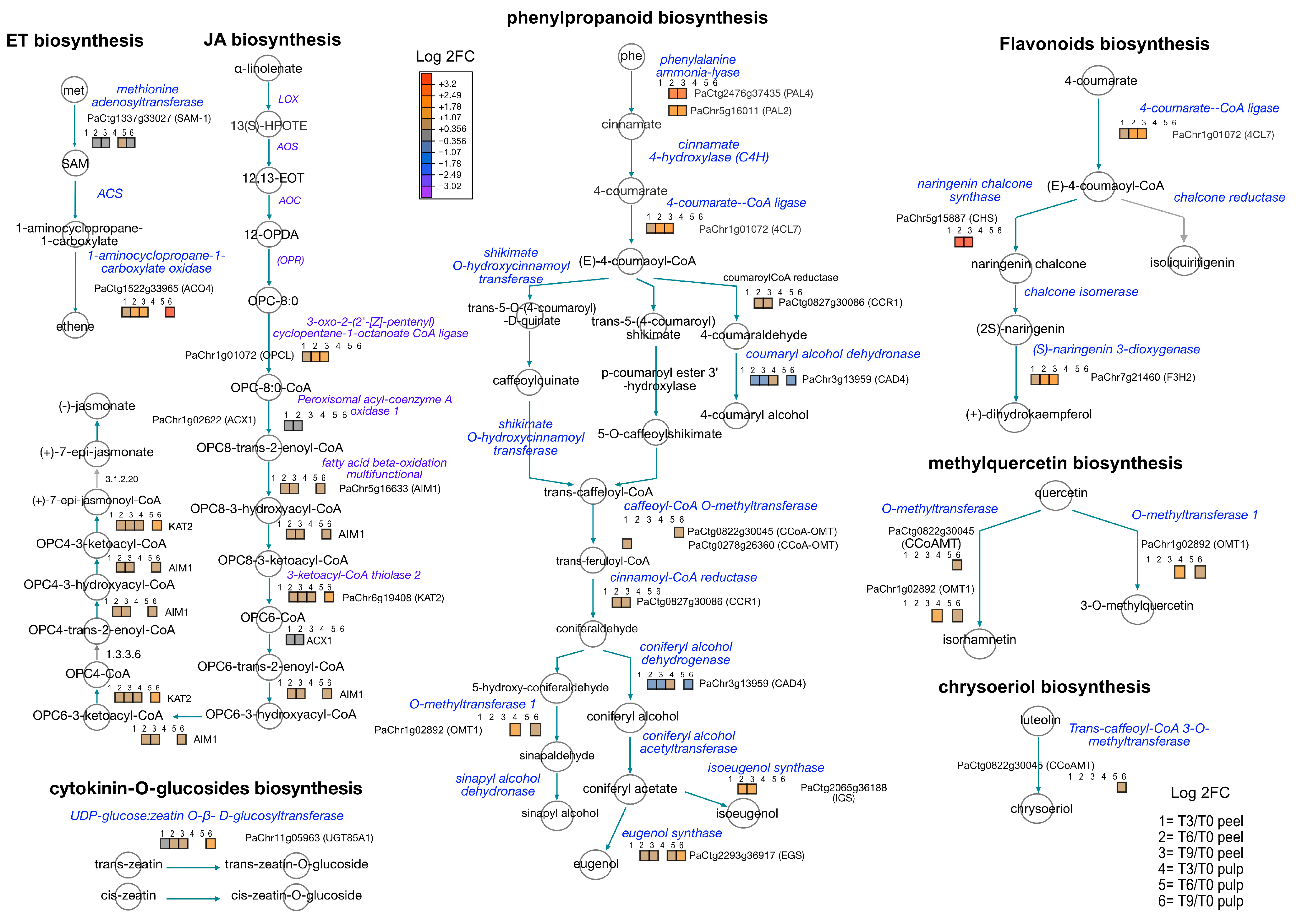 Proteomes 12 00028 g005