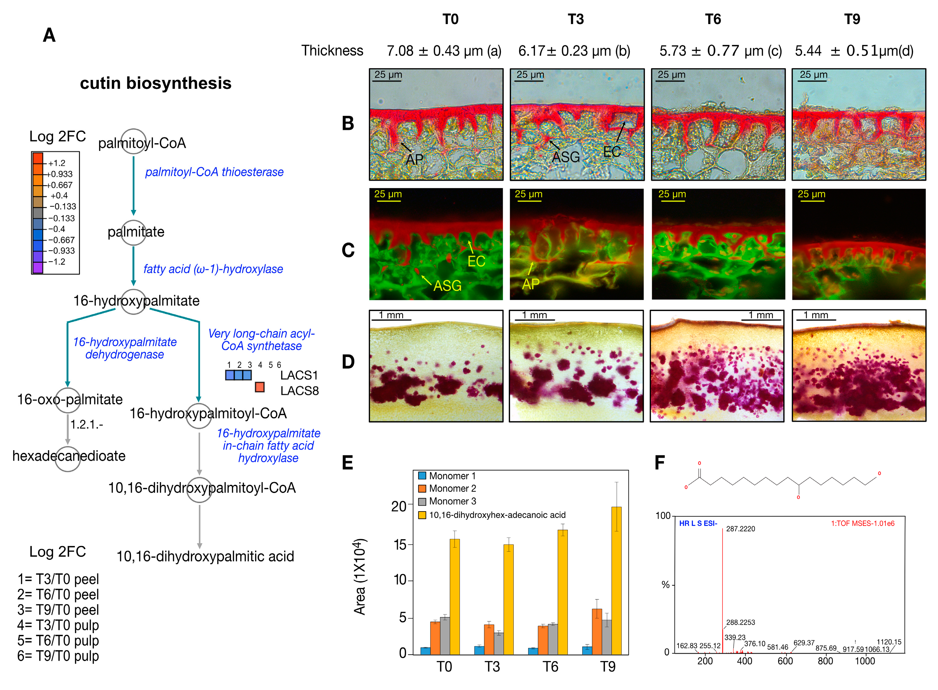 Proteomes 12 00028 g006