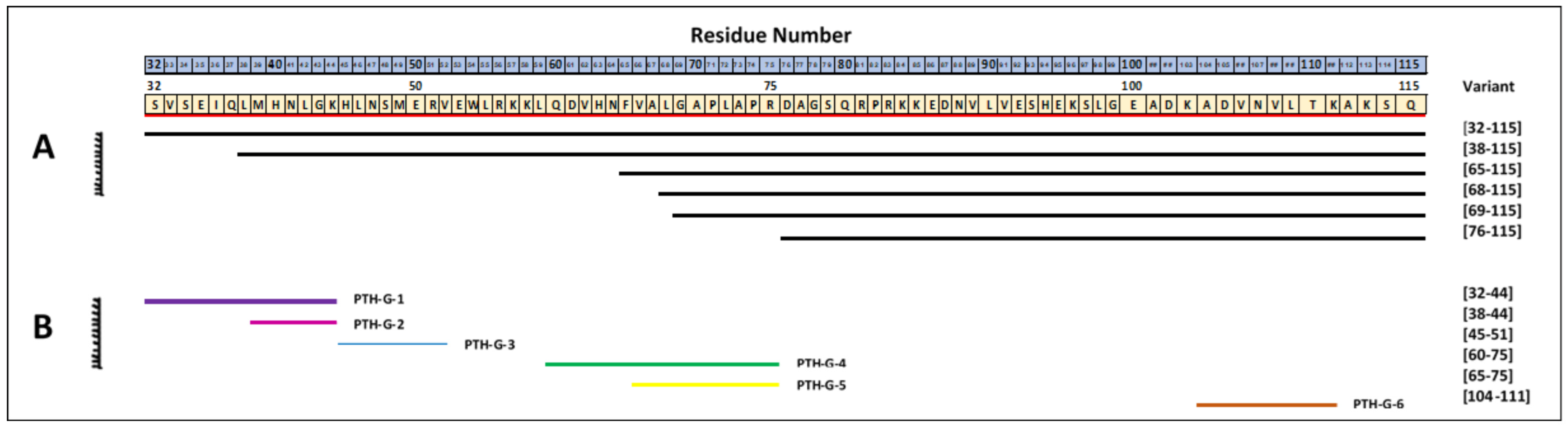 Proteomes 12 00030 g001 Proteomes 12 00030 g001