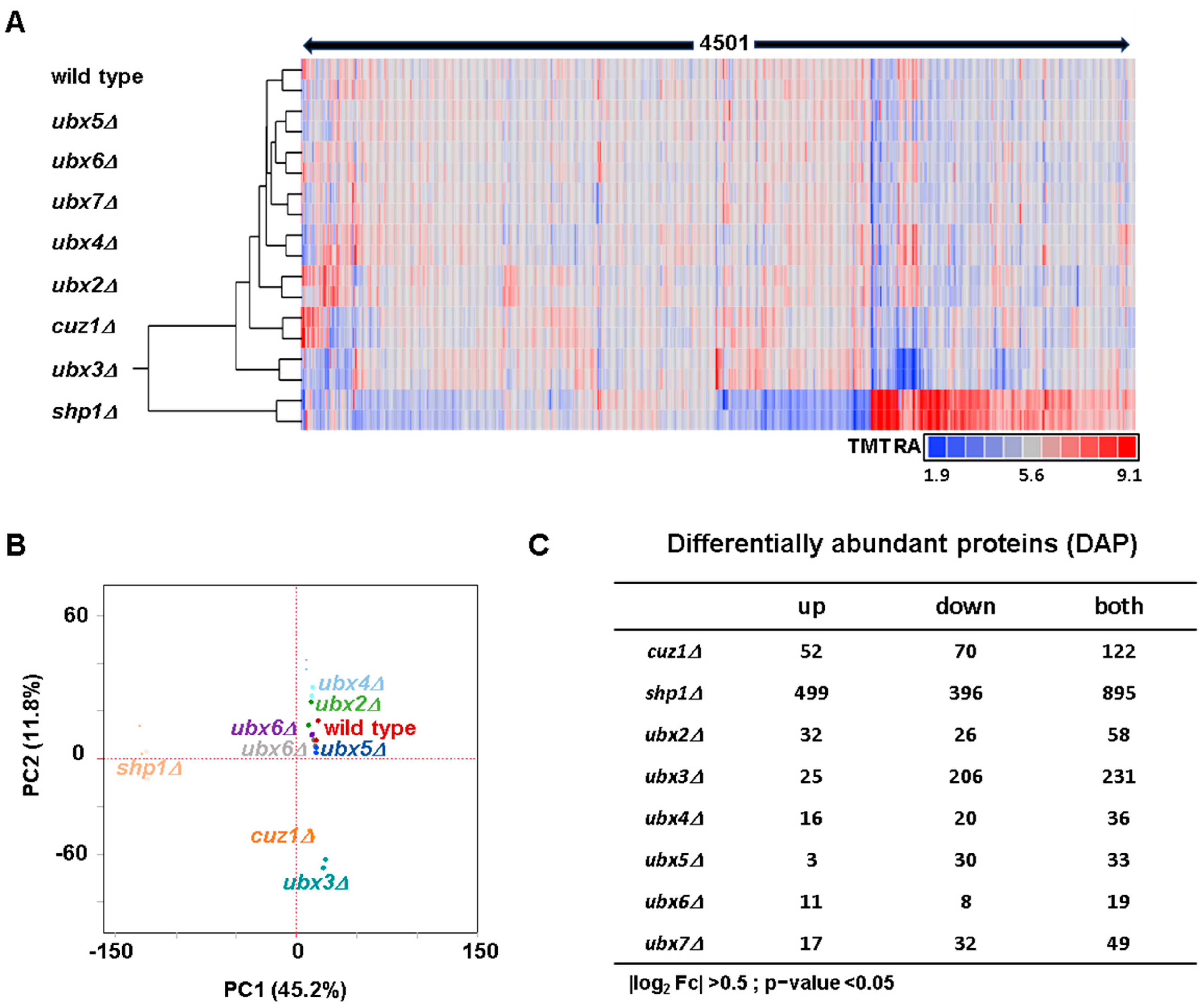 Proteomes 12 00031 g002