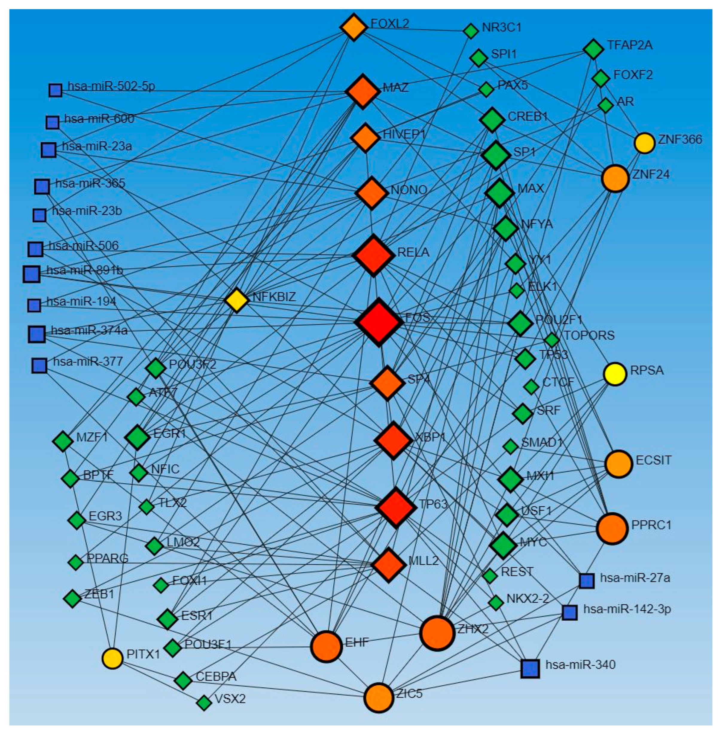 Proteomes 12 00032 g002
