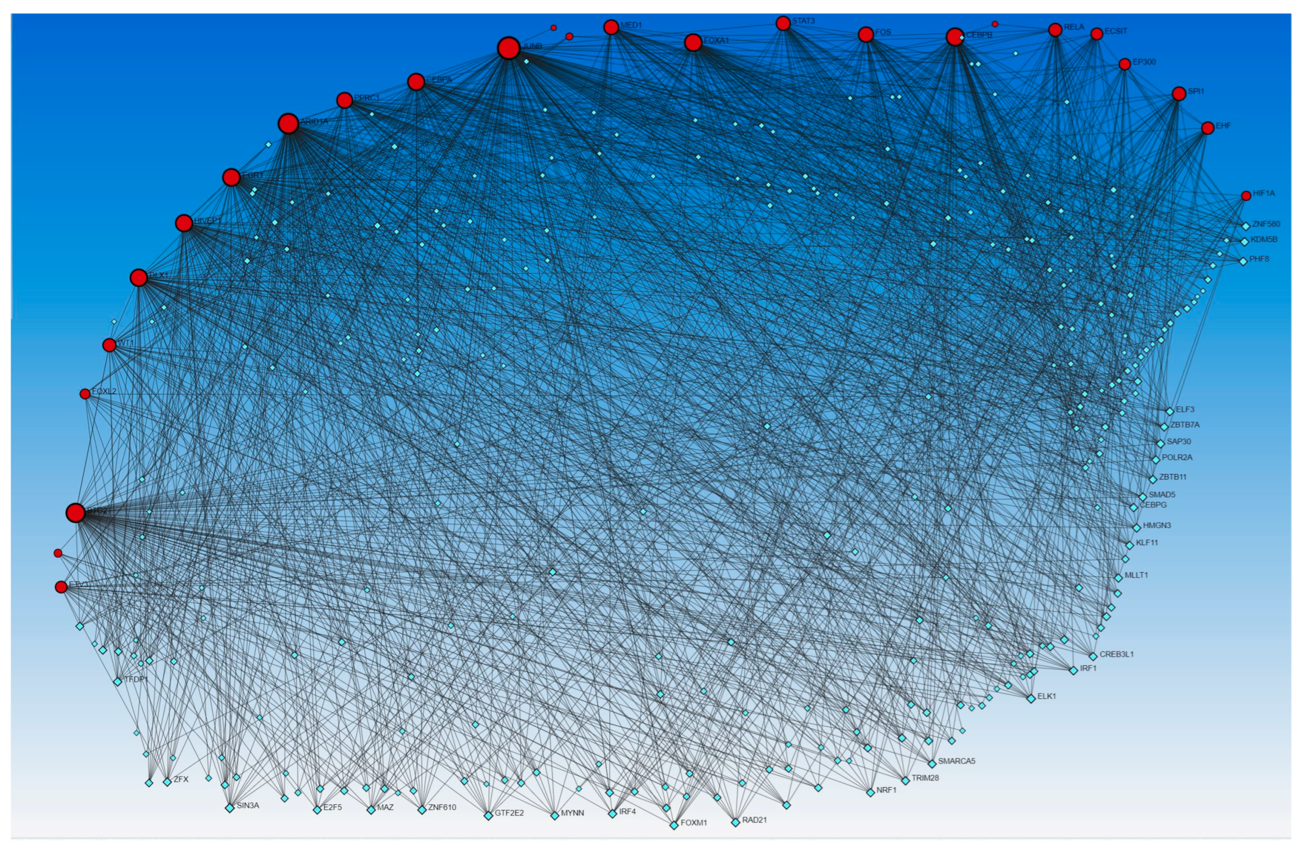 Proteomes 12 00032 g004