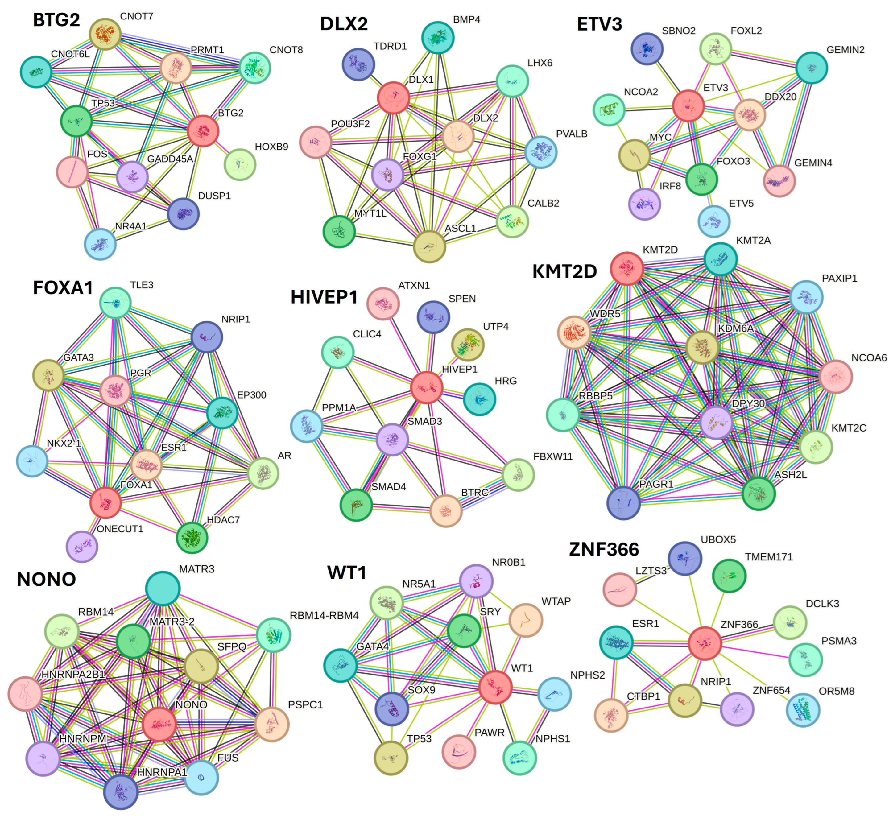 Proteomes 12 00032 g009