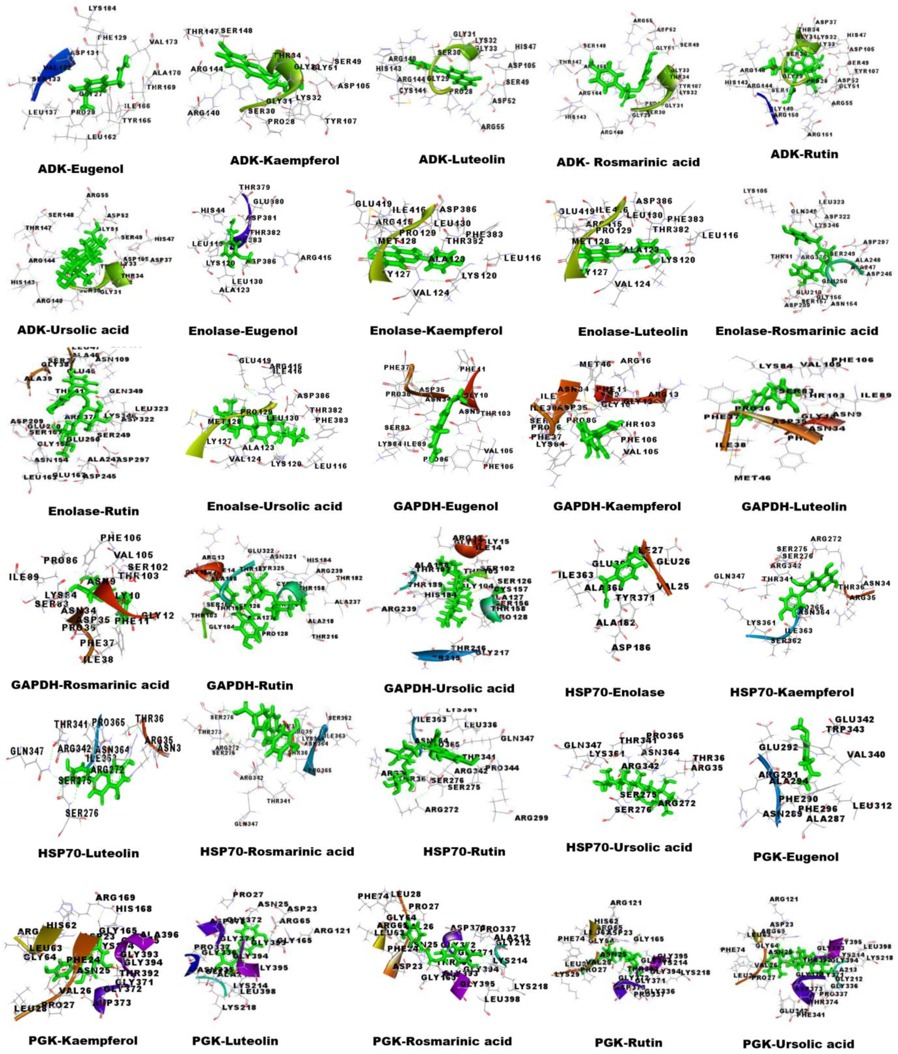 Proteomes 13 00002 g005 Proteomes 13 00002 g005