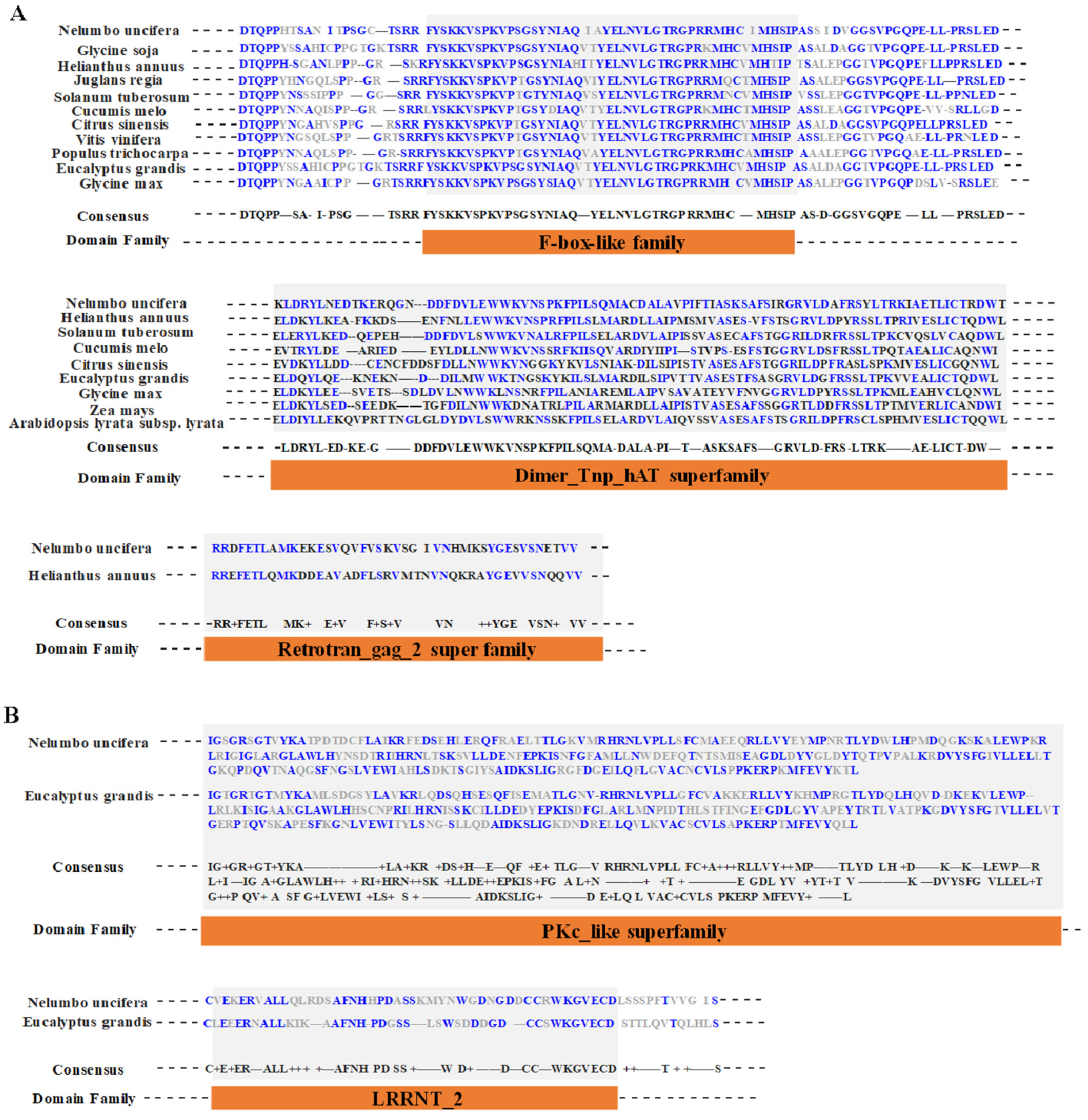 Proteomes 13 00004 g008 Proteomes 13 00004 g008