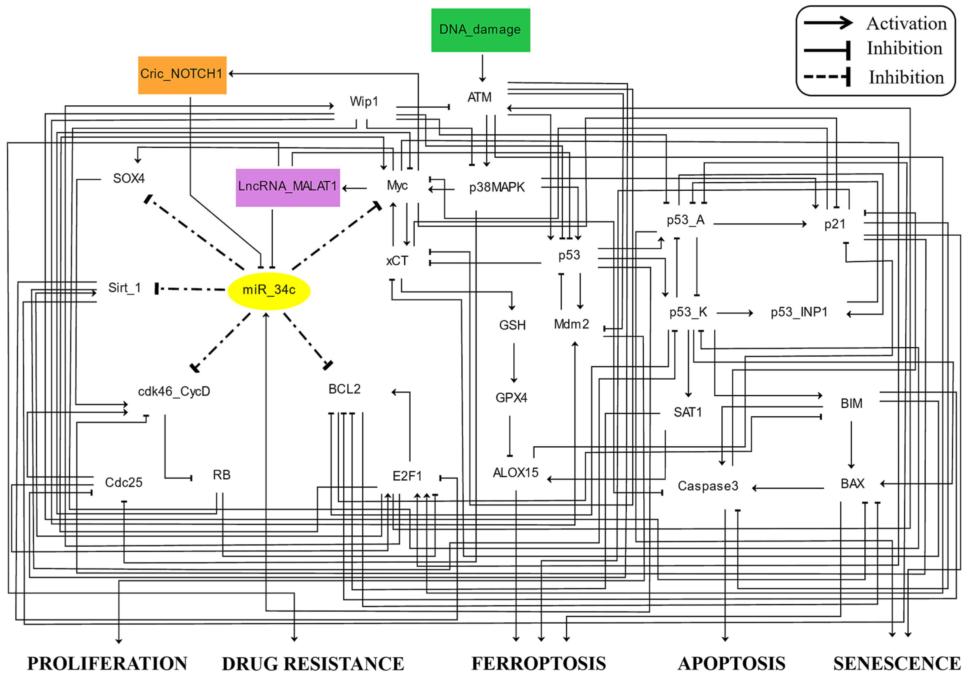 Proteomes 13 00006 g001 Proteomes 13 00006 g001
