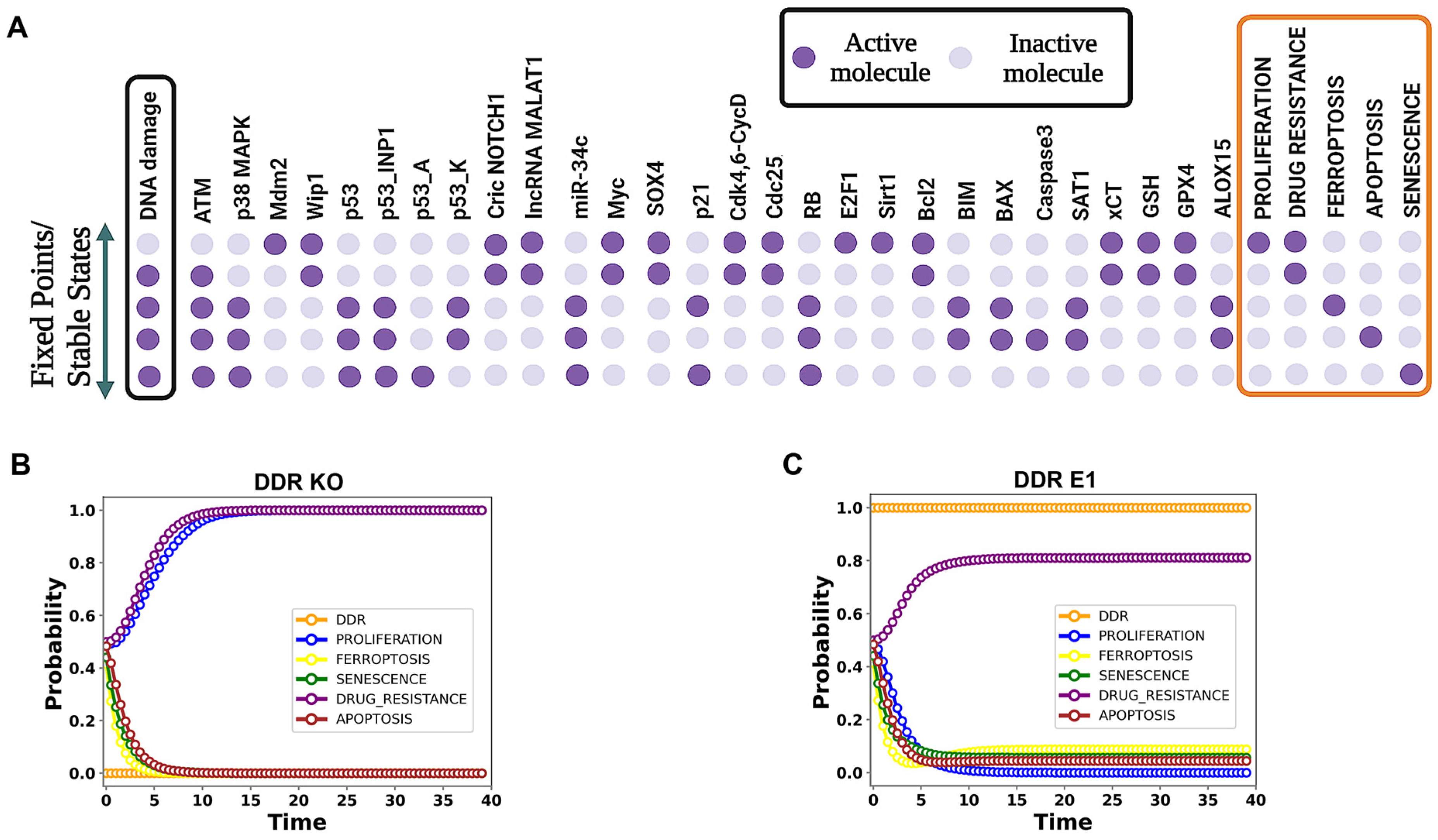 Proteomes 13 00006 g002 Proteomes 13 00006 g002