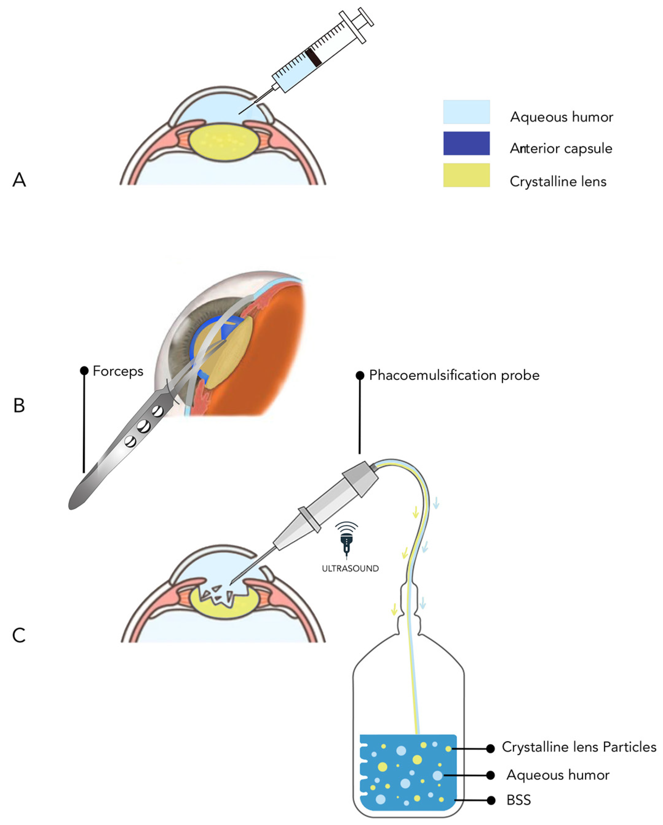 Proteomes 13 00007 g001