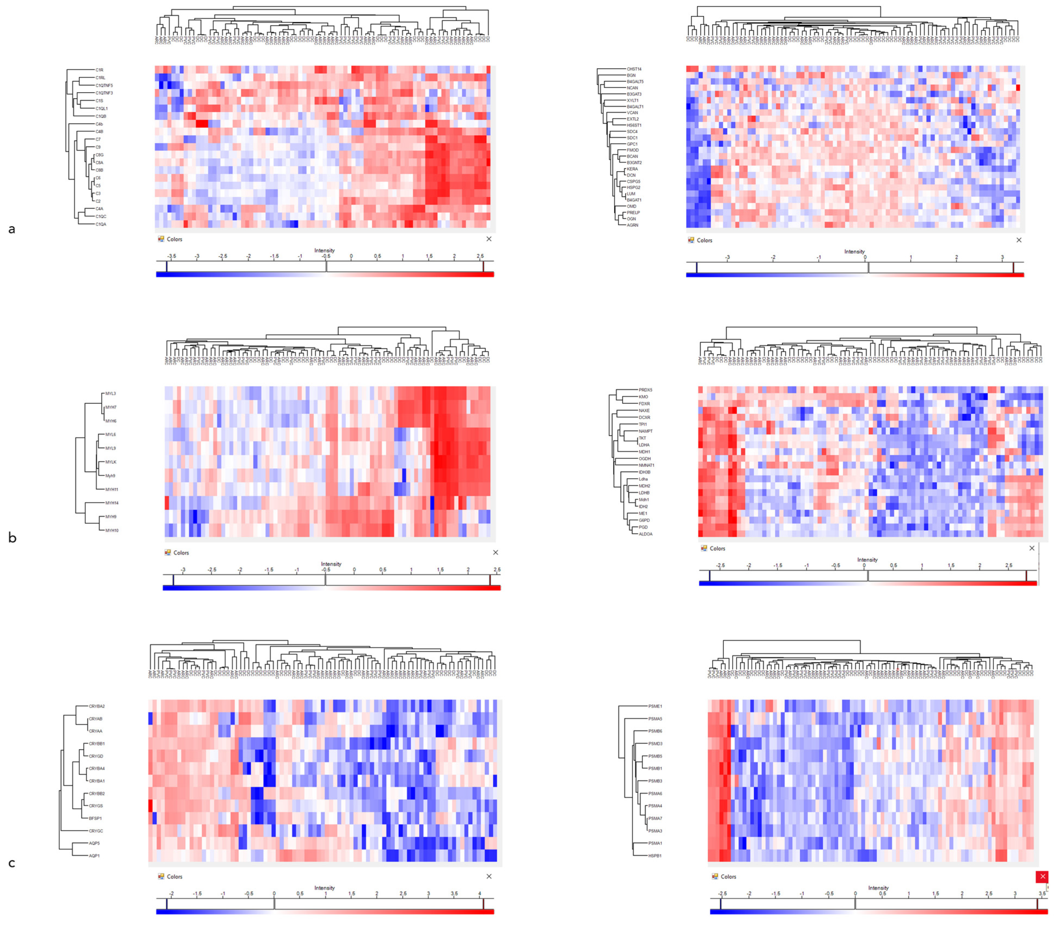 Proteomes 13 00007 g005