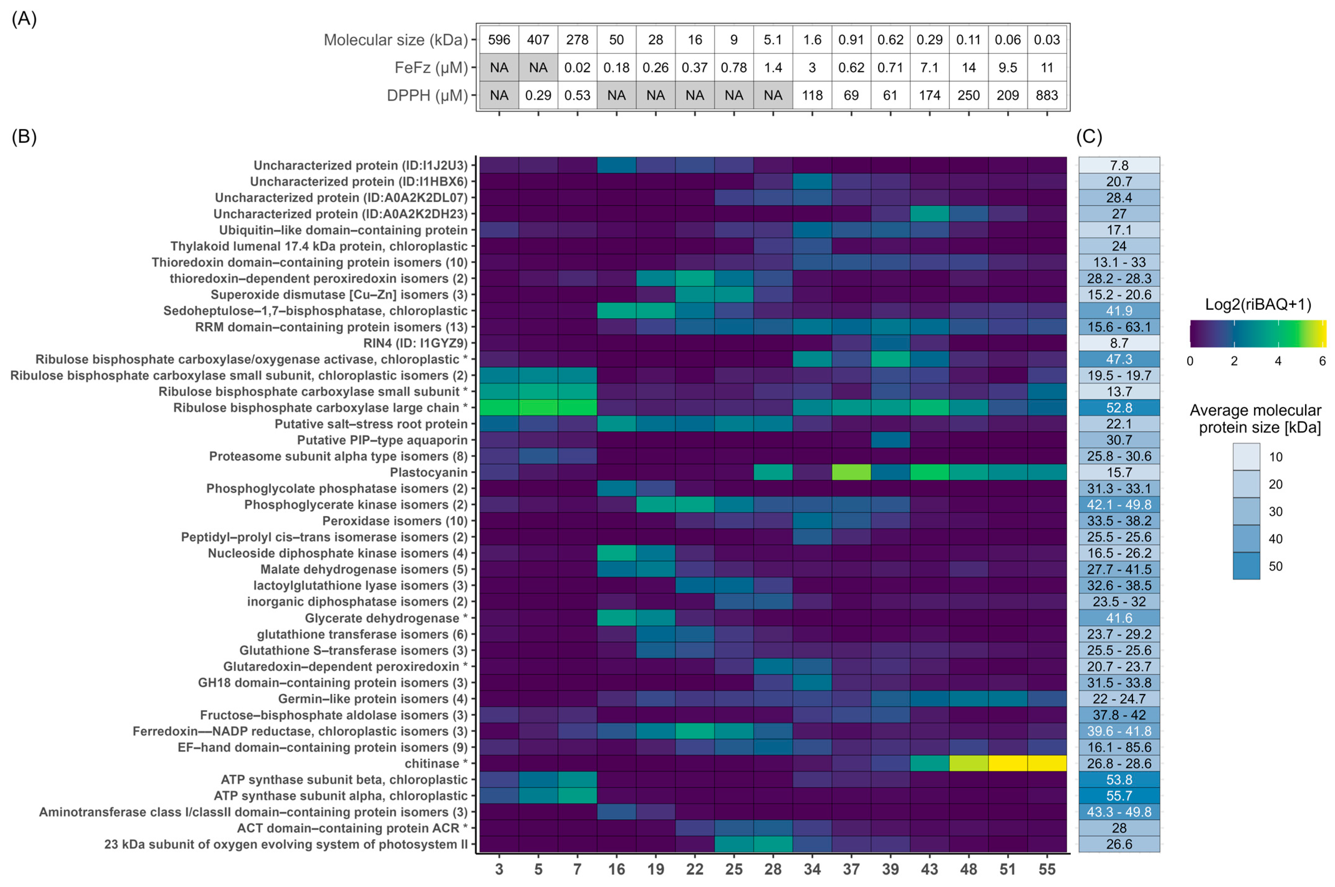 Proteomes 13 00008 g006