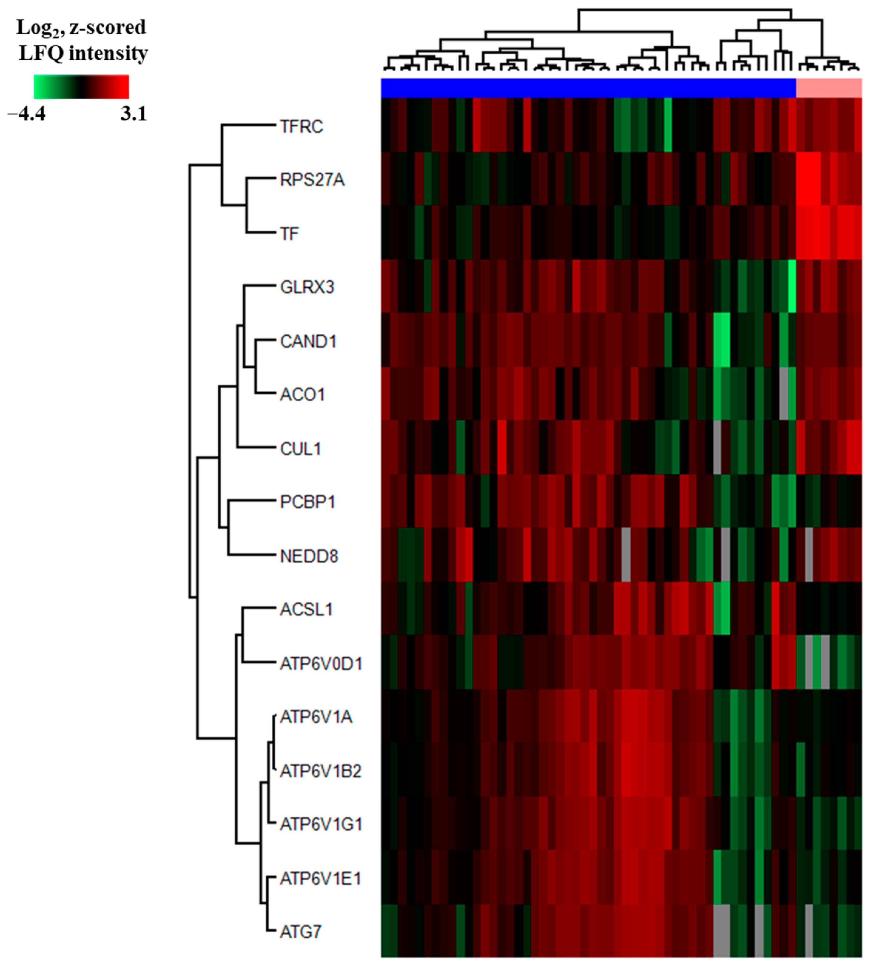 Proteomes 13 00011 g006