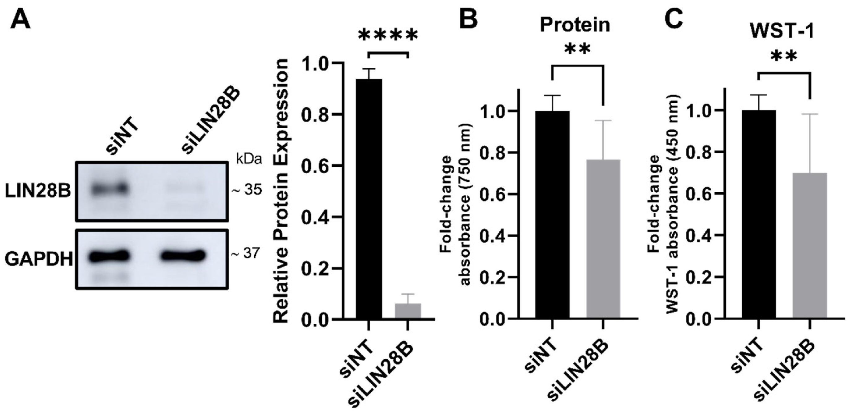 Proteomes 13 00014 g001 Proteomes 13 00014 g001