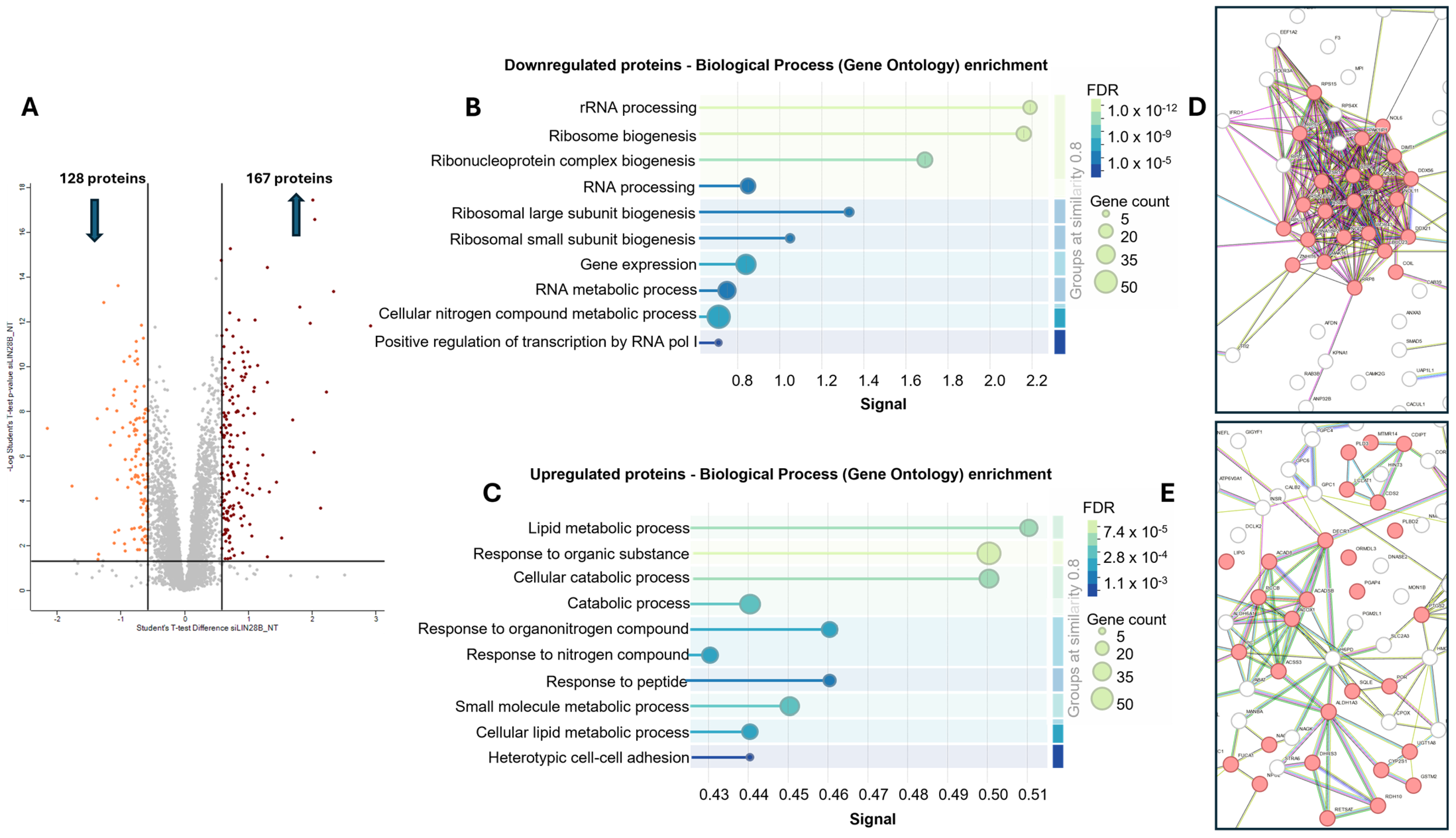 Proteomes 13 00014 g002 Proteomes 13 00014 g002