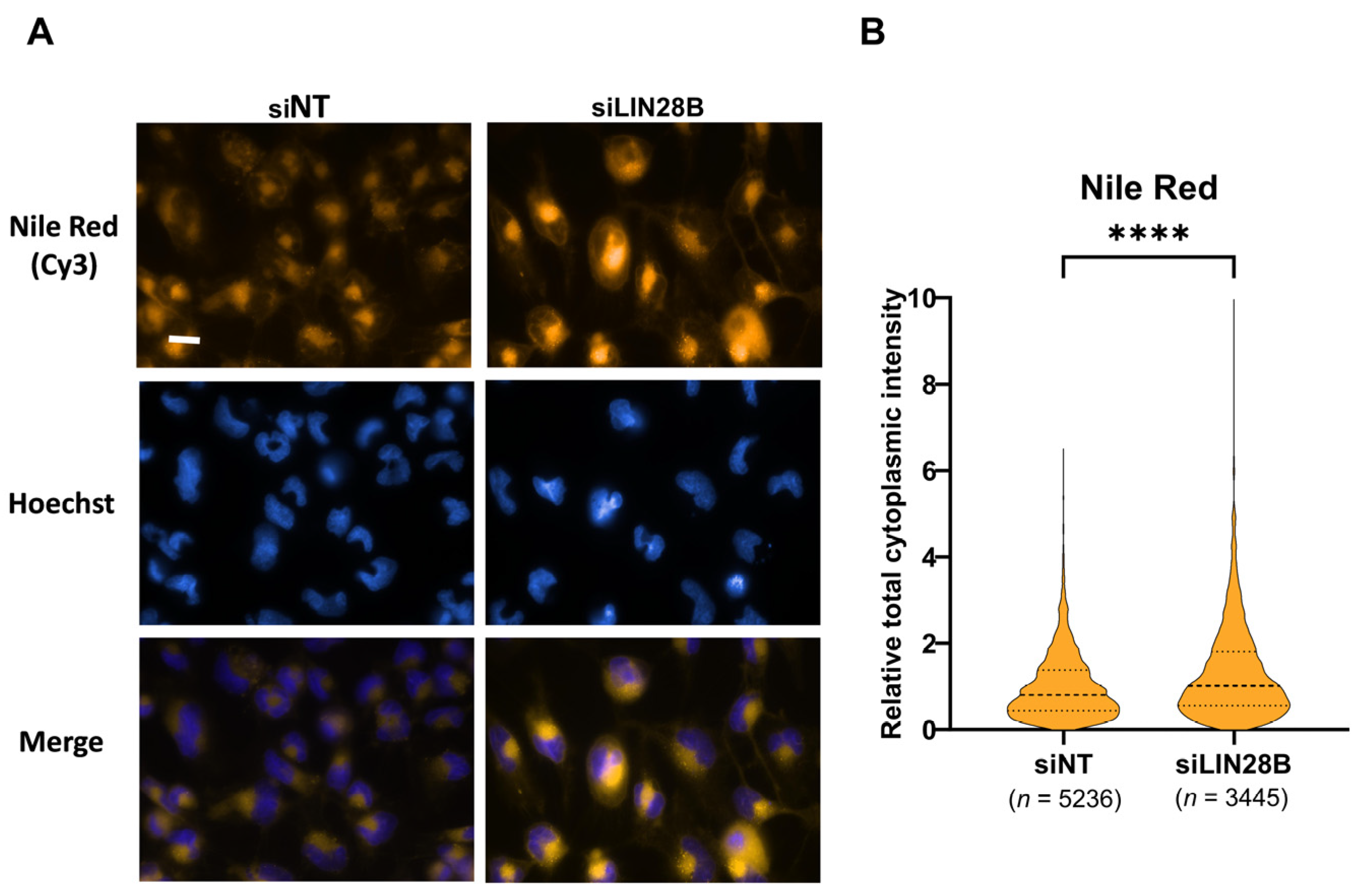 Proteomes 13 00014 g004 Proteomes 13 00014 g004