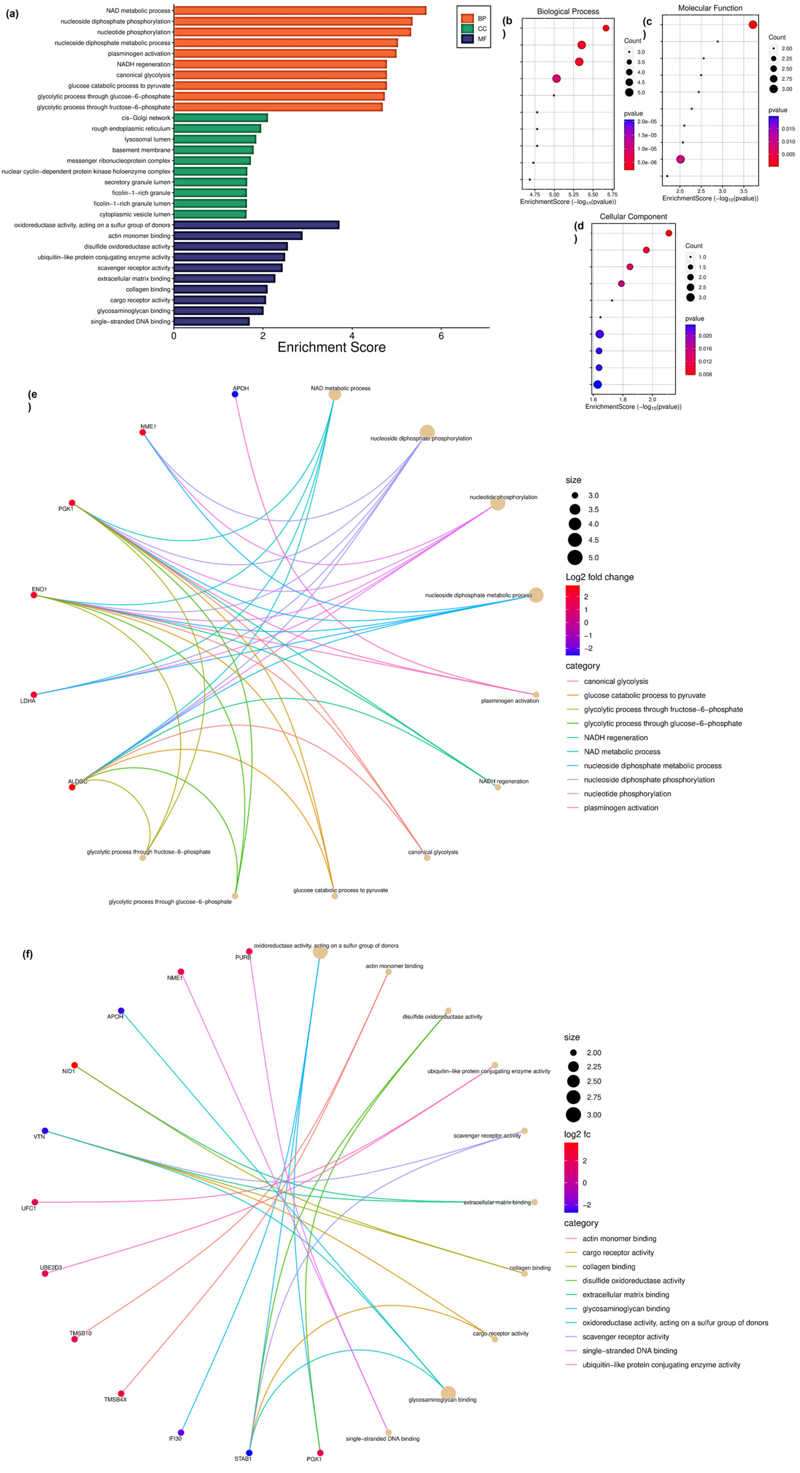 Proteomes 13 00015 g004