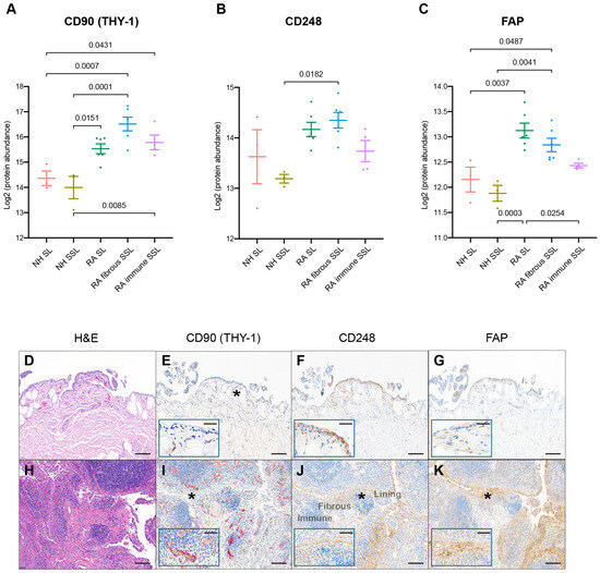 Integrative Spatial Proteomics and Single-Cell RNA Sequencing