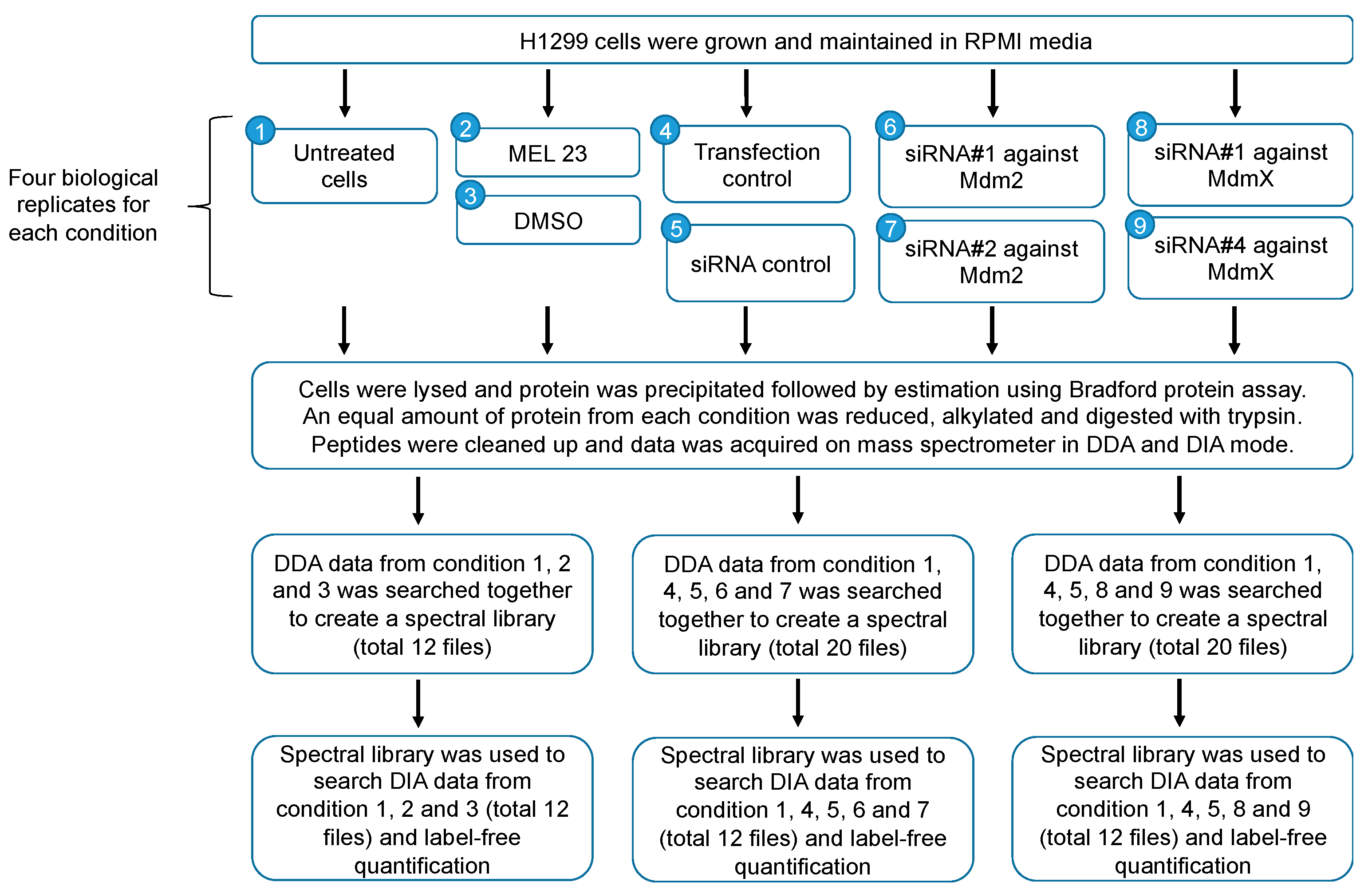 Proteomes 13 00018 g001