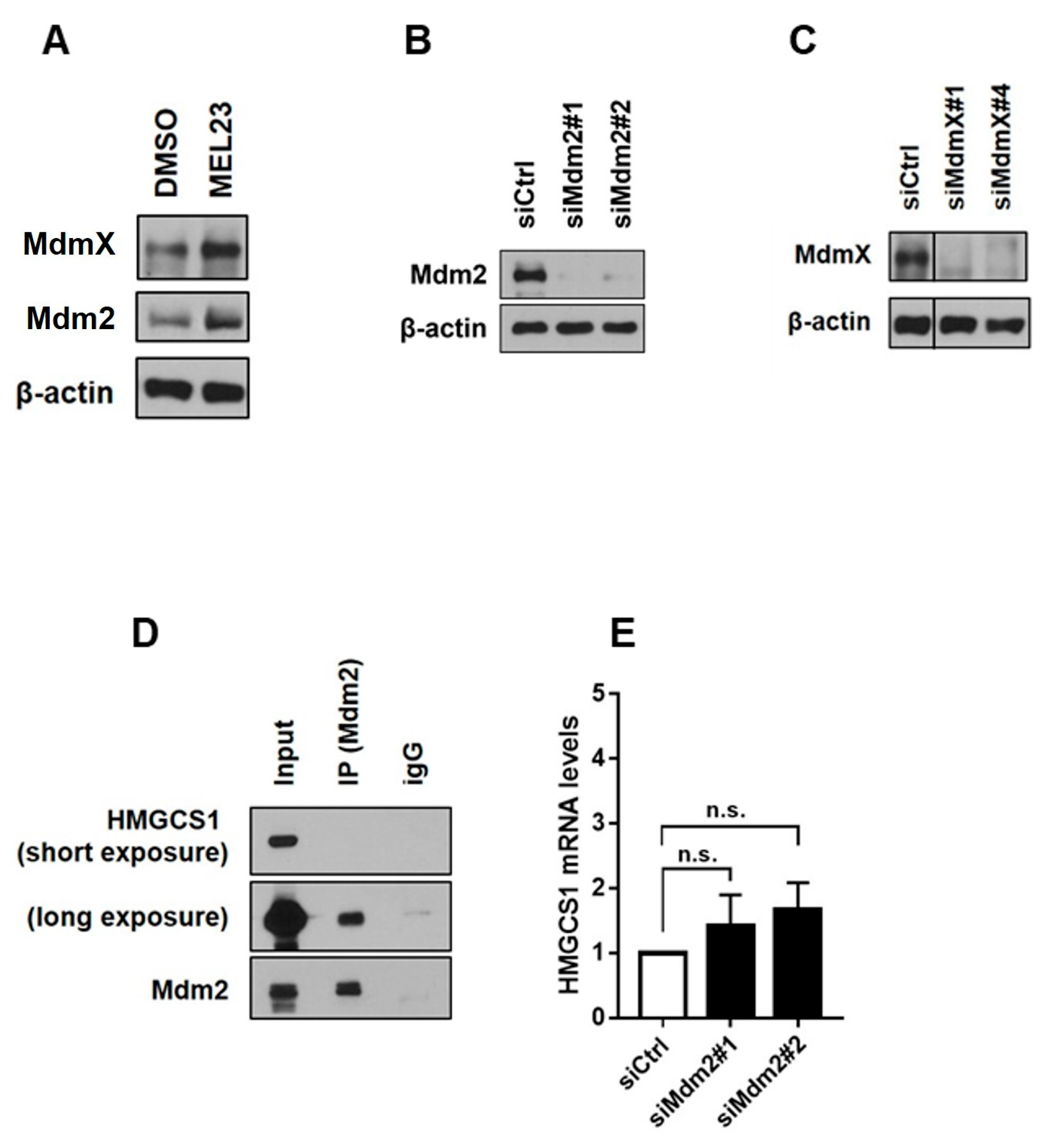 Proteomes 13 00018 g002