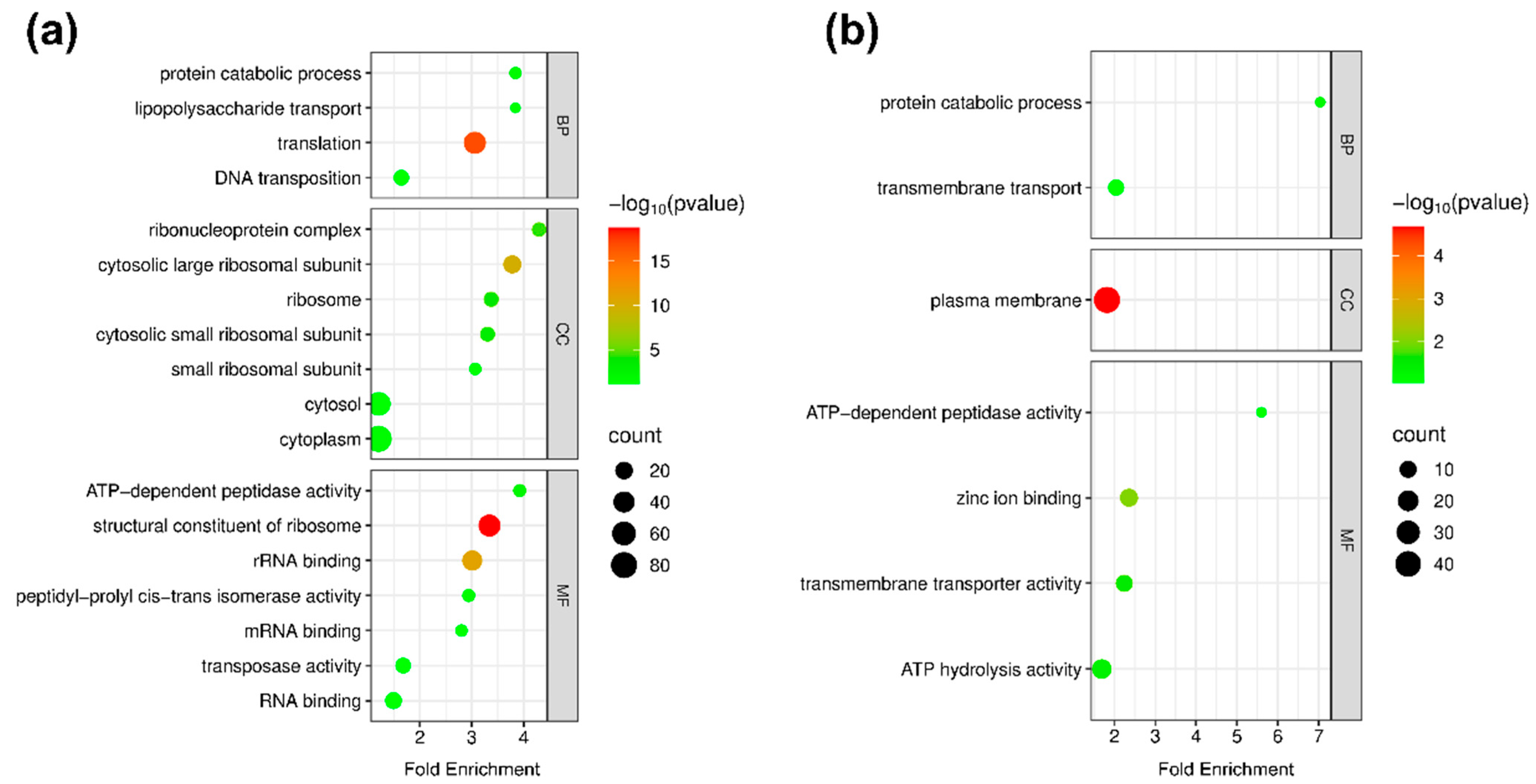 Proteomes 13 00019 g002