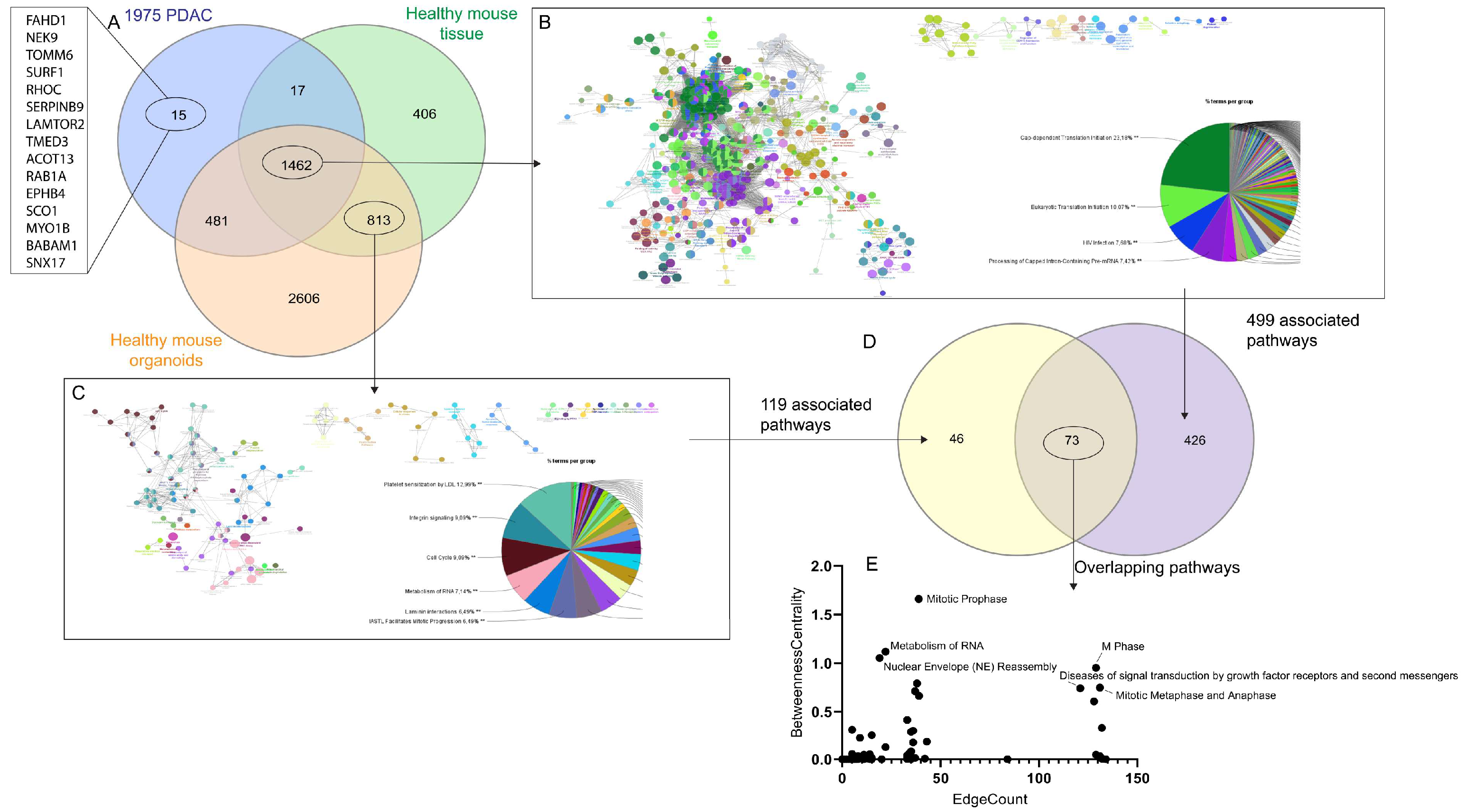 Proteomes 13 00020 g007