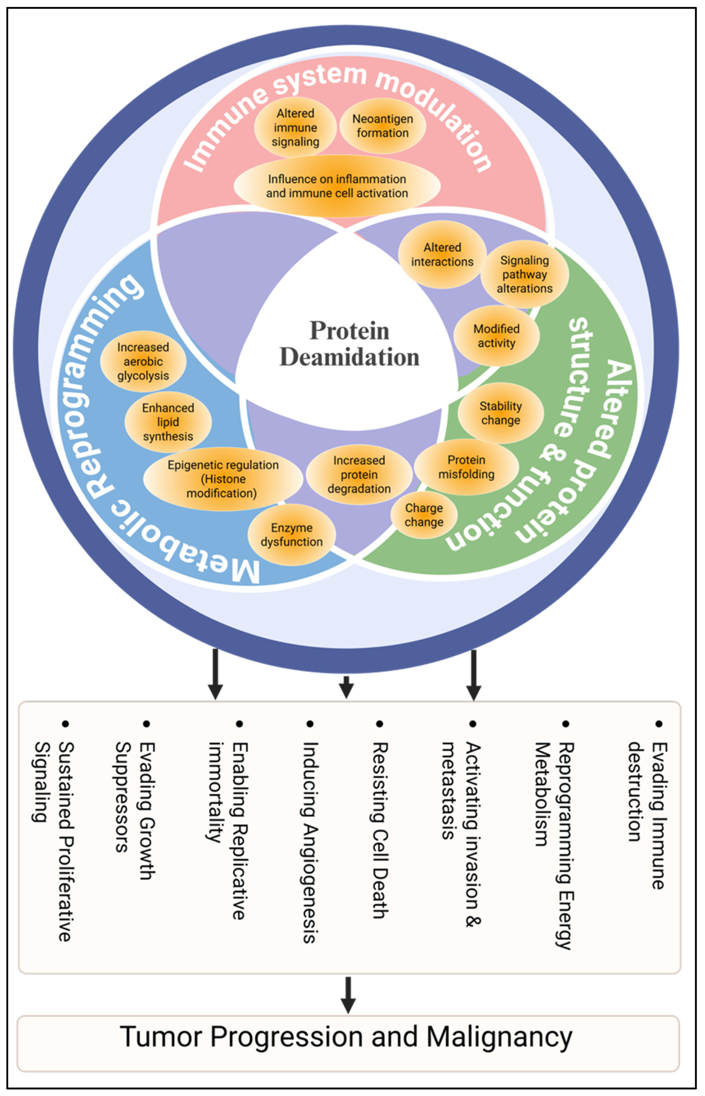 Proteomes 13 00024 g003